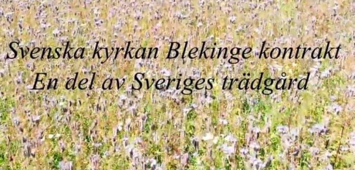 Listers- och Bräkne kontrakt och Karlskrona – Ronneby kontrakt slås samman 1 januari 2021.