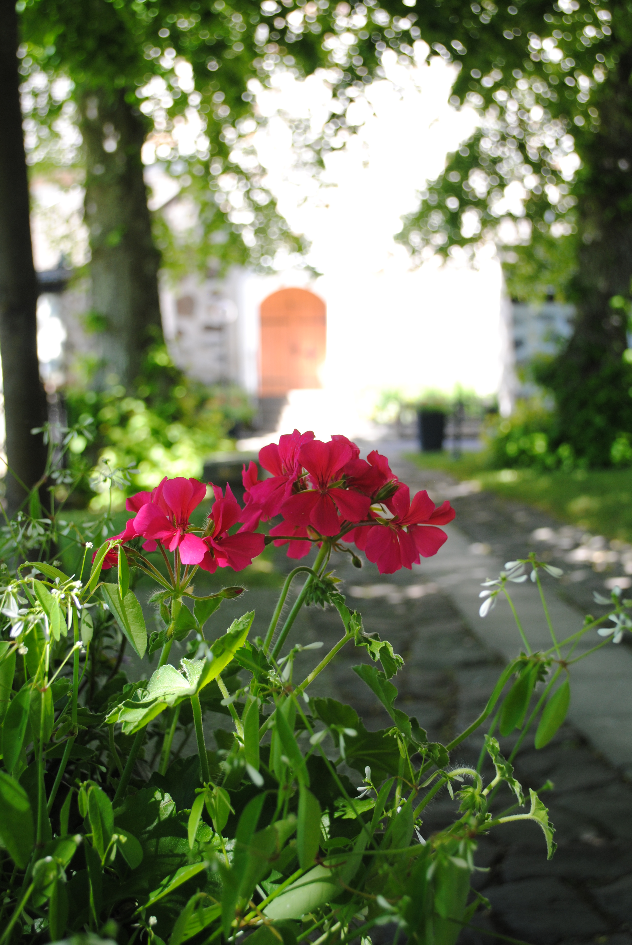 Bild från Värmdö kyrka