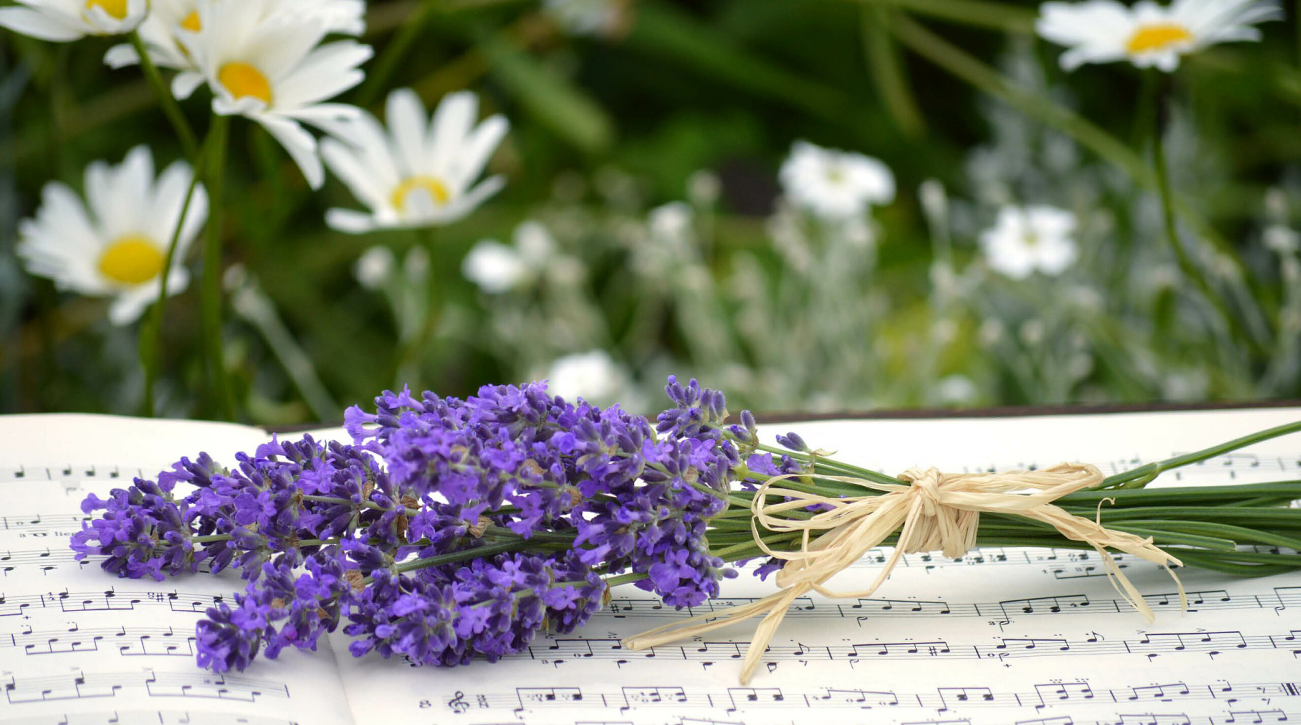 Blommor på notblad