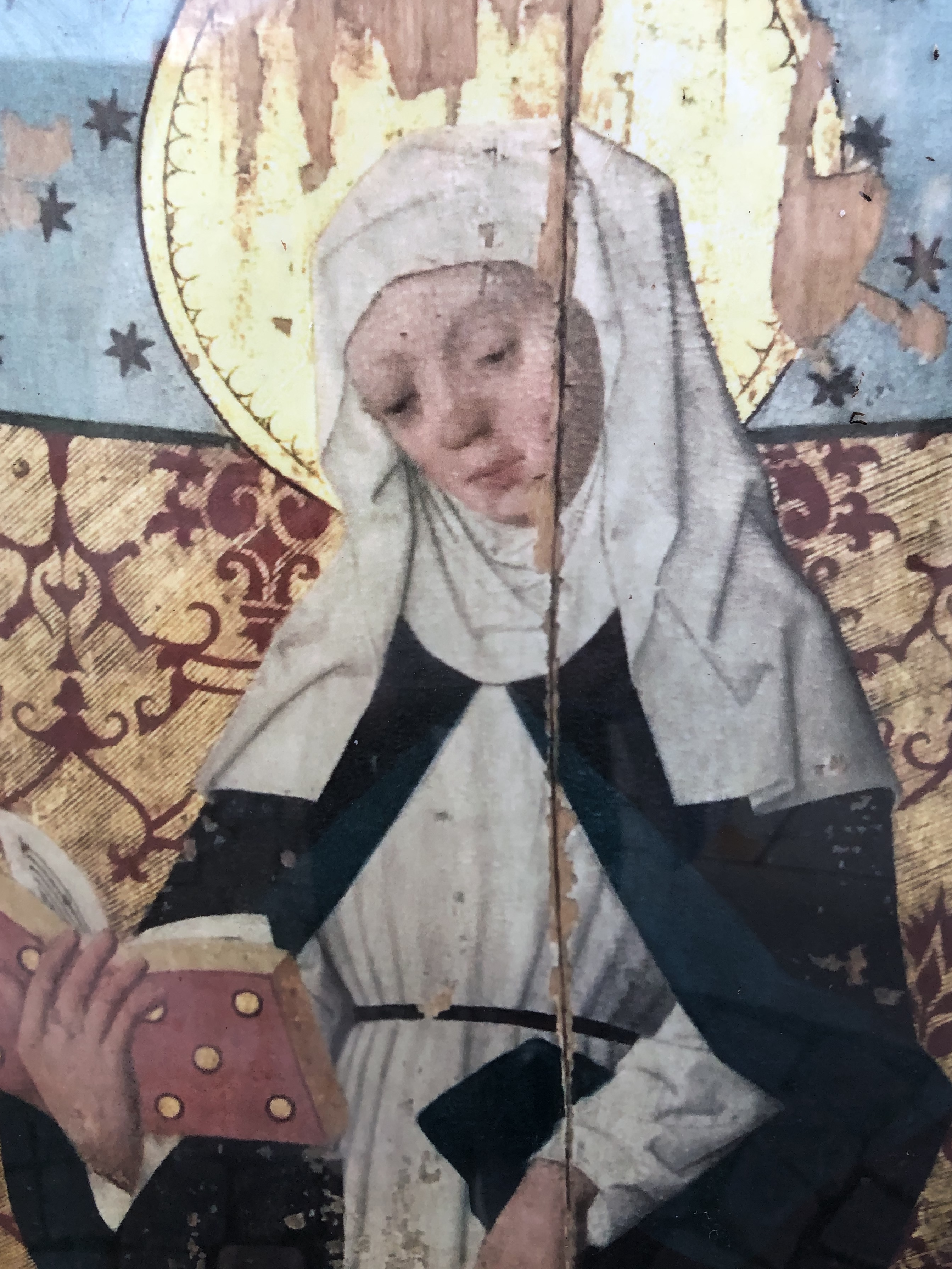 den heliga Birgitta