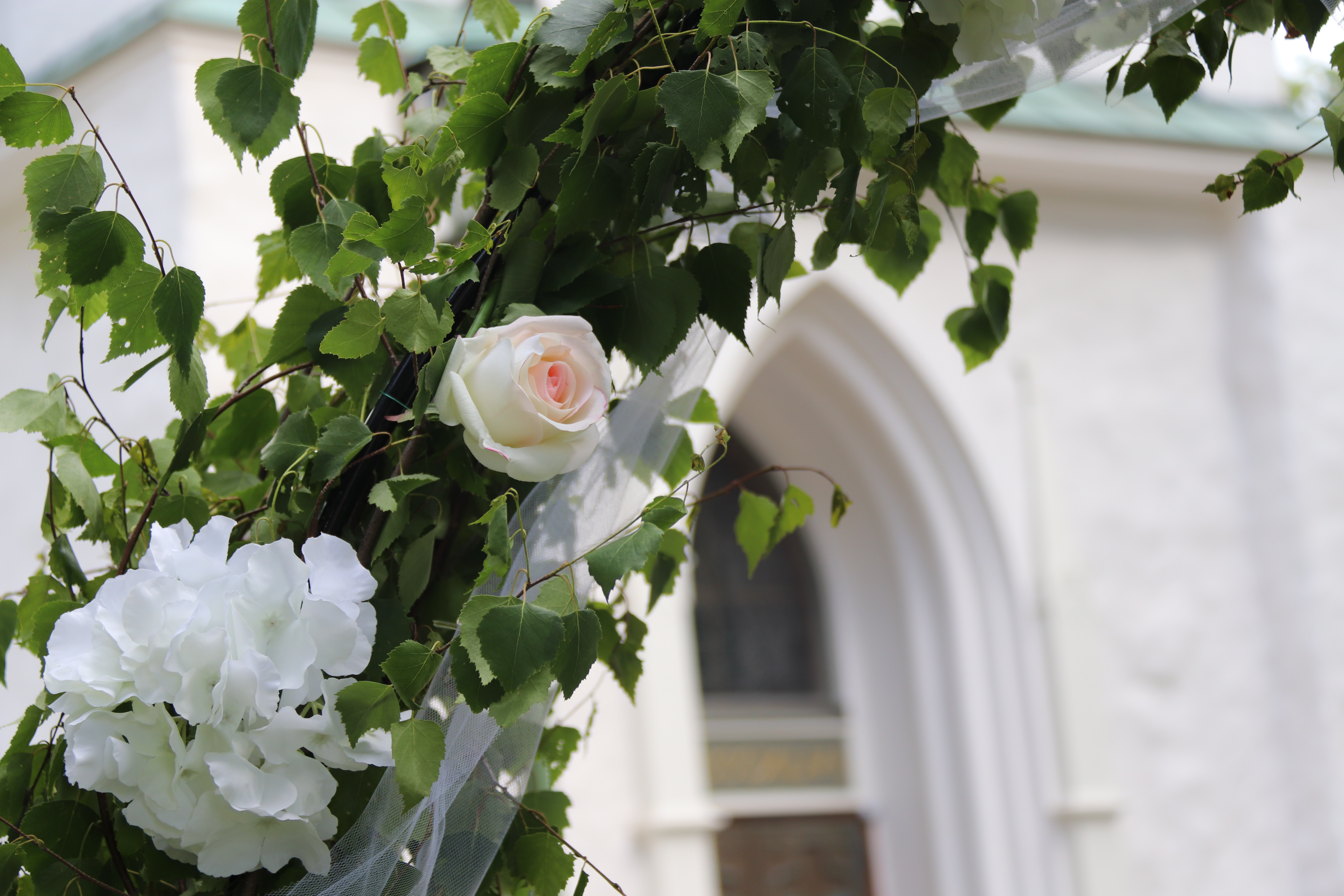 Del av rosenbåge framför Motala kyrka.
