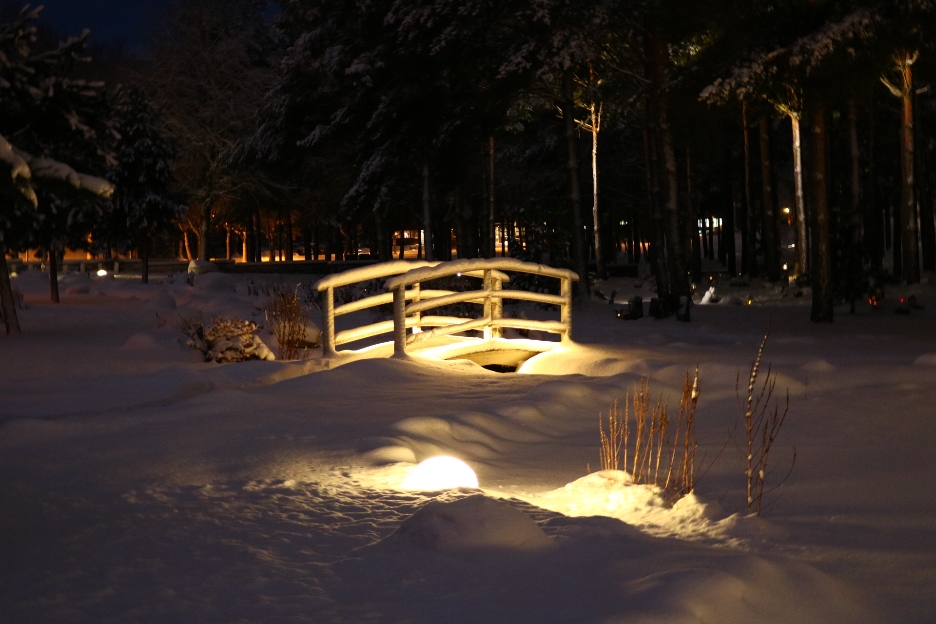 Bro i snö med belysning.