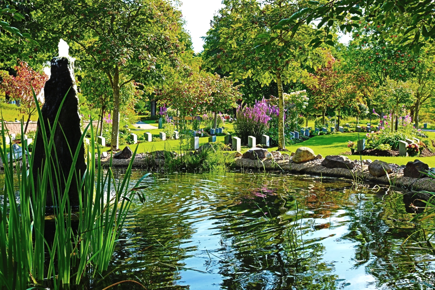 Vatten framför asklund på Griftegården