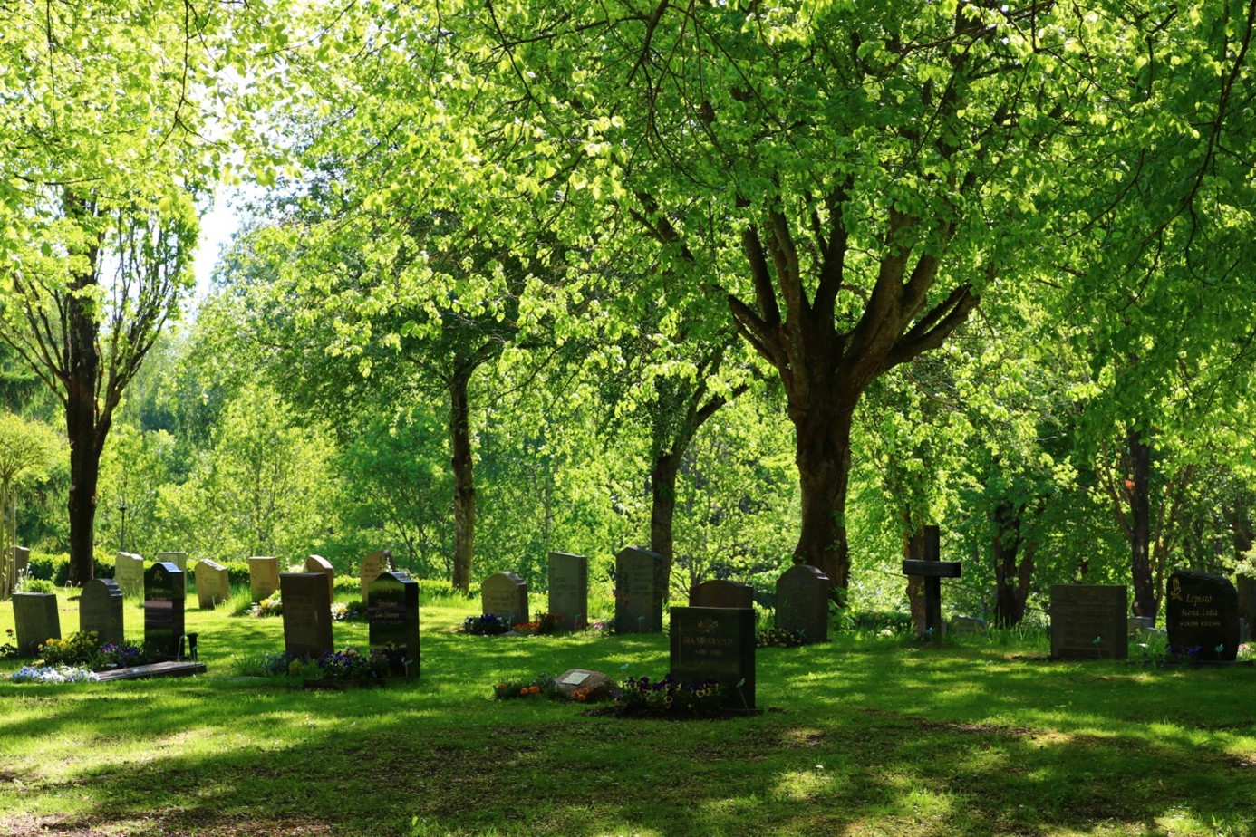 Gravar på rad i grönska