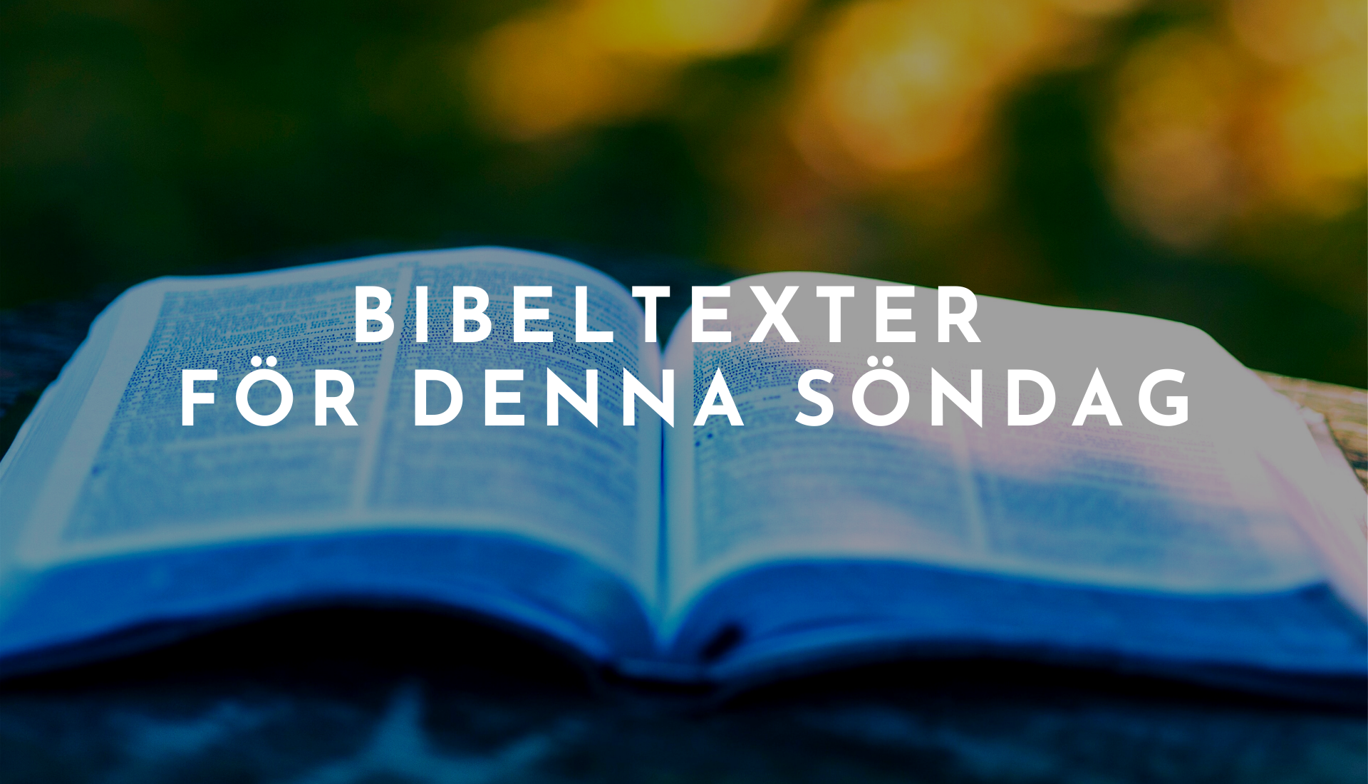 Bibeltexter