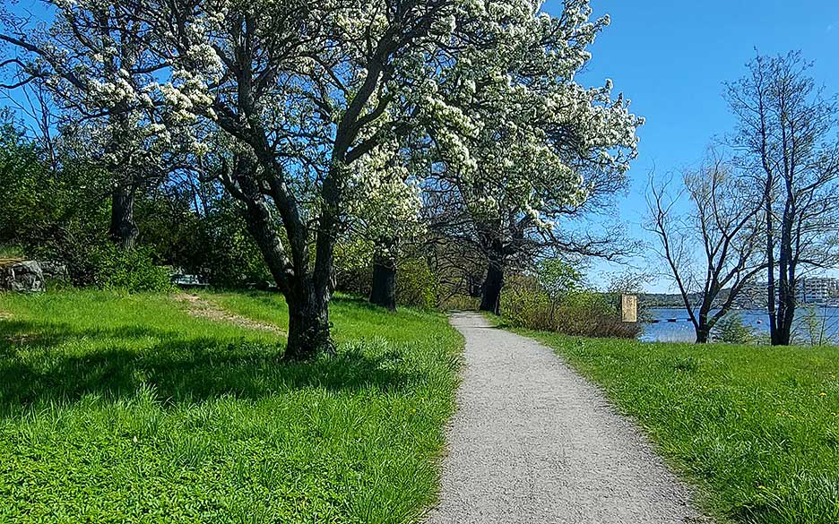 Pilgrimsvandring med Lidingö församling