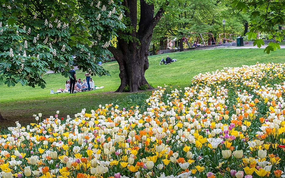 Utflykt med SL-kort, Lidingö församling