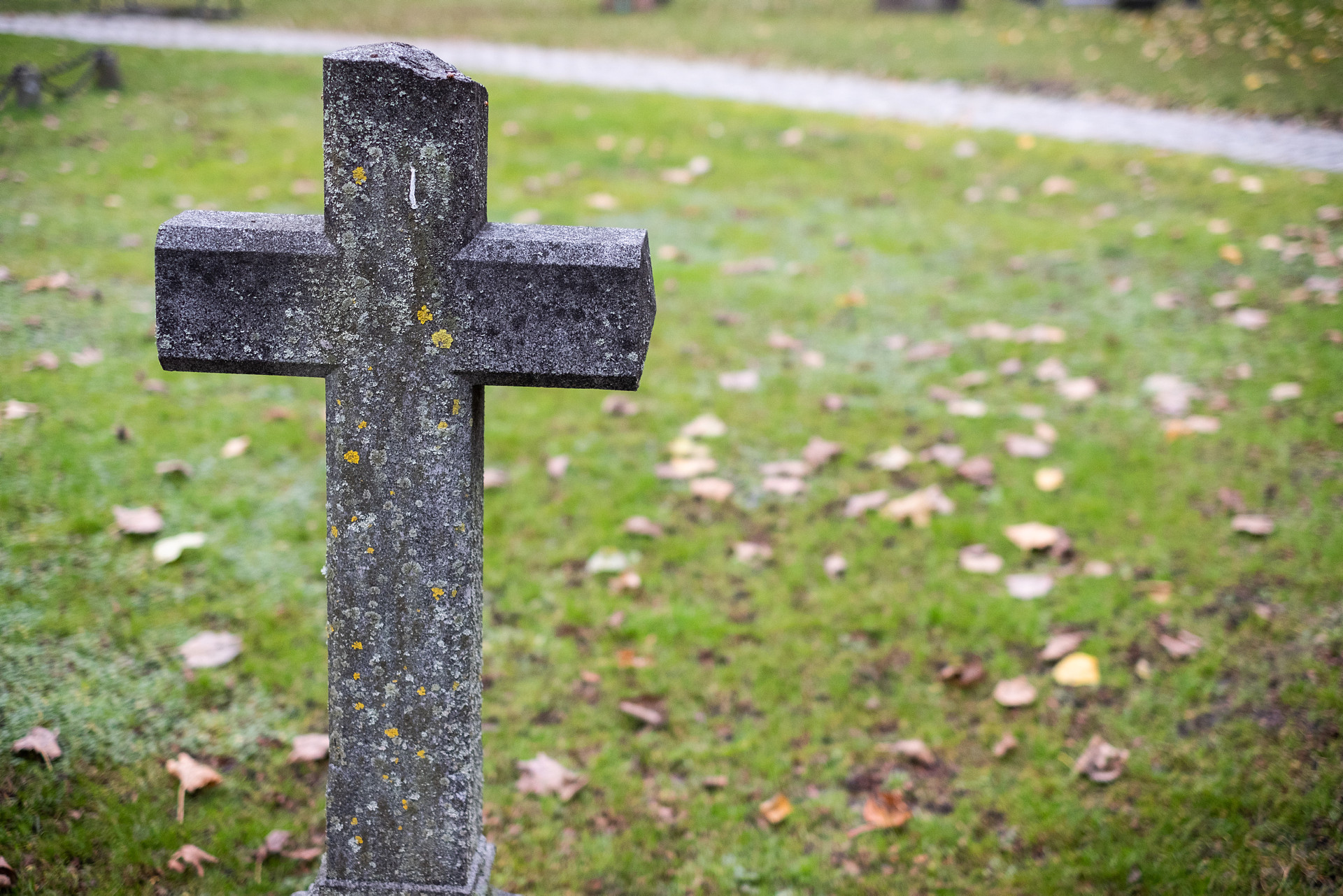 Ett kors i sten på en kyrkogård. Det ligger höstlöv på den fortfarande gröna gräsytan.