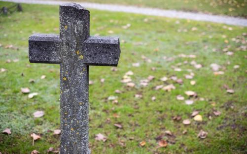 Ett kors i sten på en kyrkogård. Det ligger höstlöv på den fortfarande gröna gräsytan.