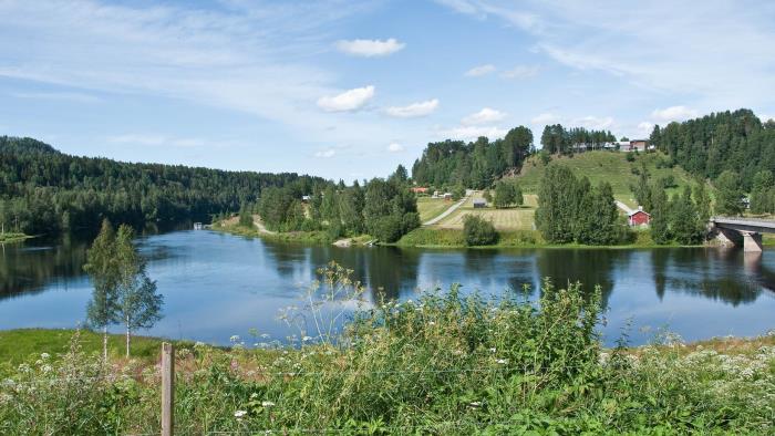 En sommarfager bild tagen från Grannäset där Ramsele medeltida kyrka står. I förgrunden ängsblommor och älven. Uppe till höger ser vi SVAR-huset på nipkanten.