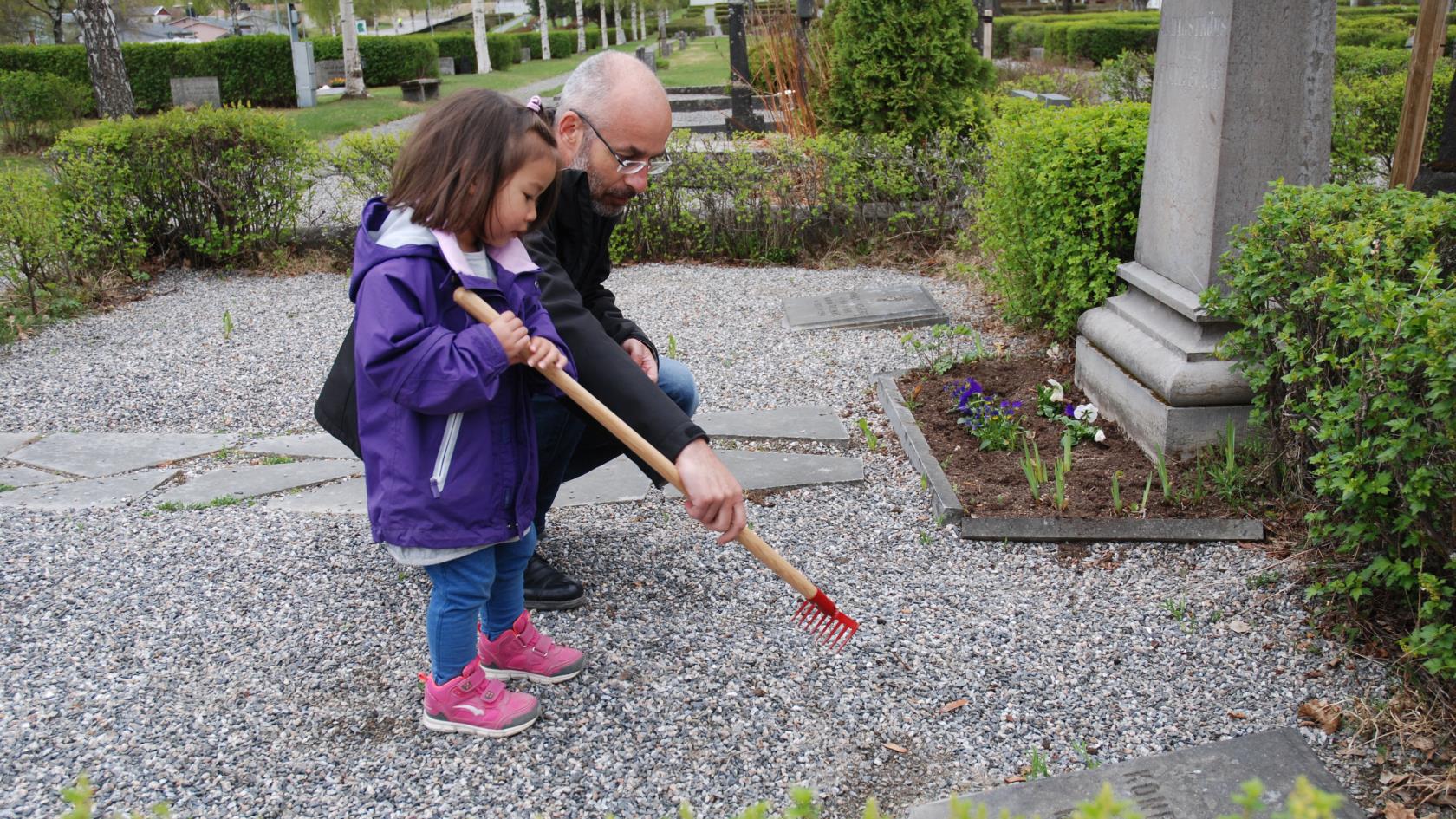 En pappa hjälper dotter att kratta gruset på en gravplats med en liten barnkratta.