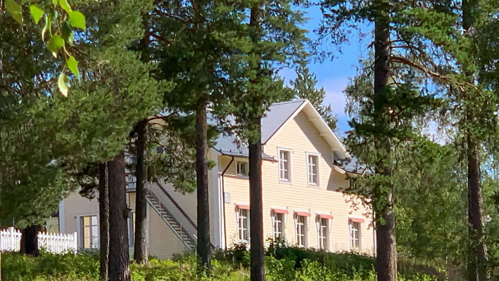 En gulmålad byggnad med liggande träpanel skymtar bakom höga tallar.