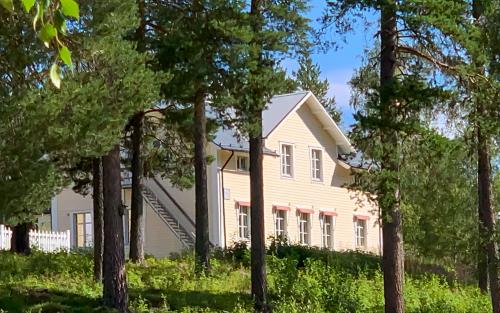 En gulmålad byggnad med liggande träpanel skymtar bakom höga tallar.