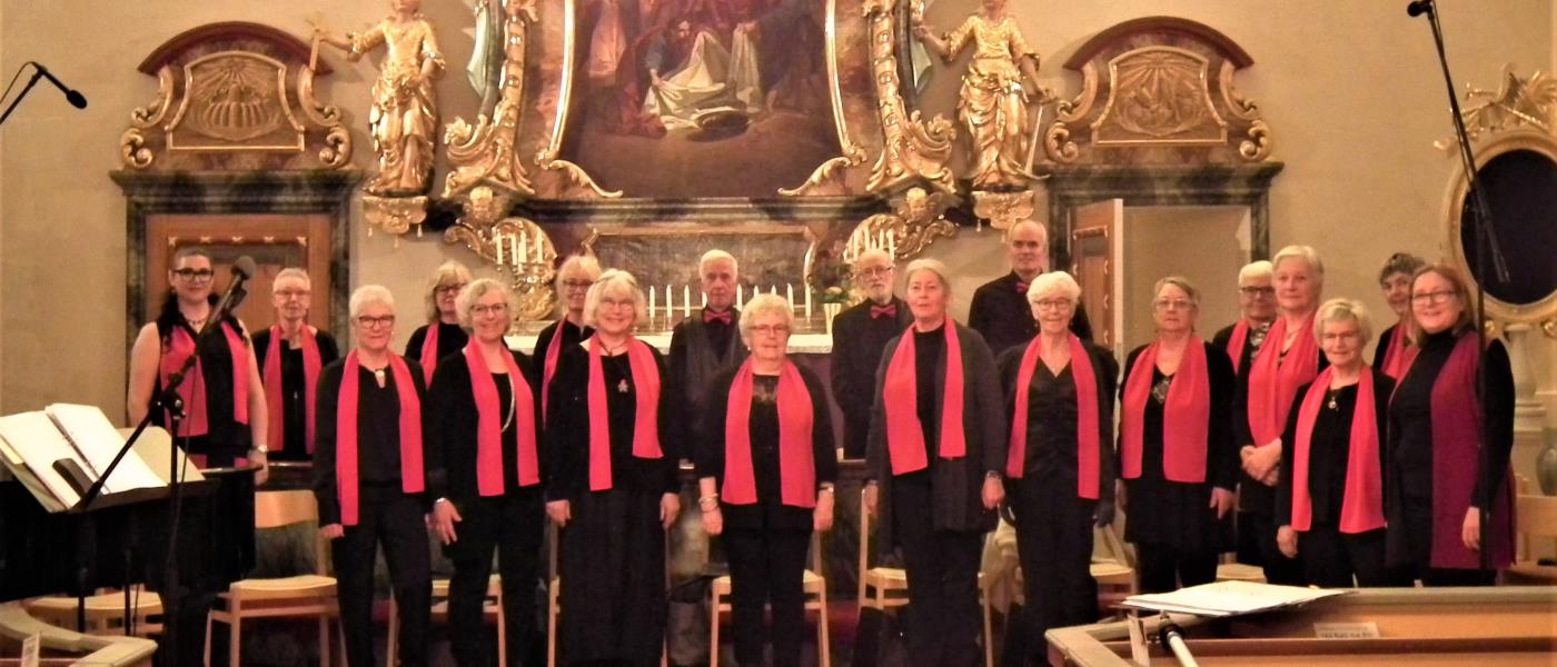 Körmedlemmar uppställda i koret i Multrå kyrka. Samtliga bär svarta kläder. Damerna har röd halsduk och herrarna röd fluga. 