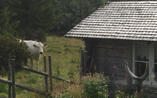 Östvallen. Västsätern.