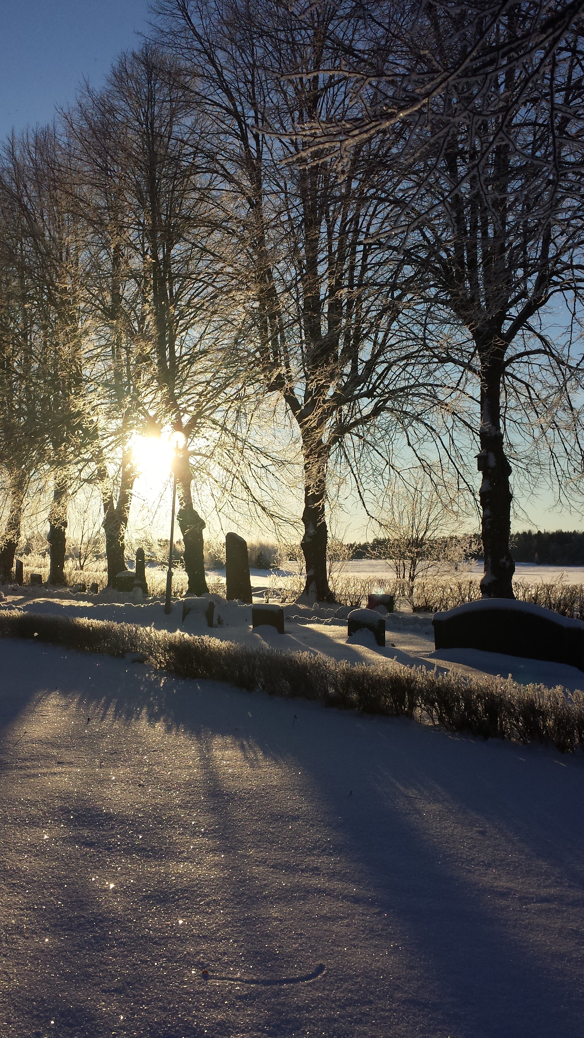Tärna kyrka, kyrkogård