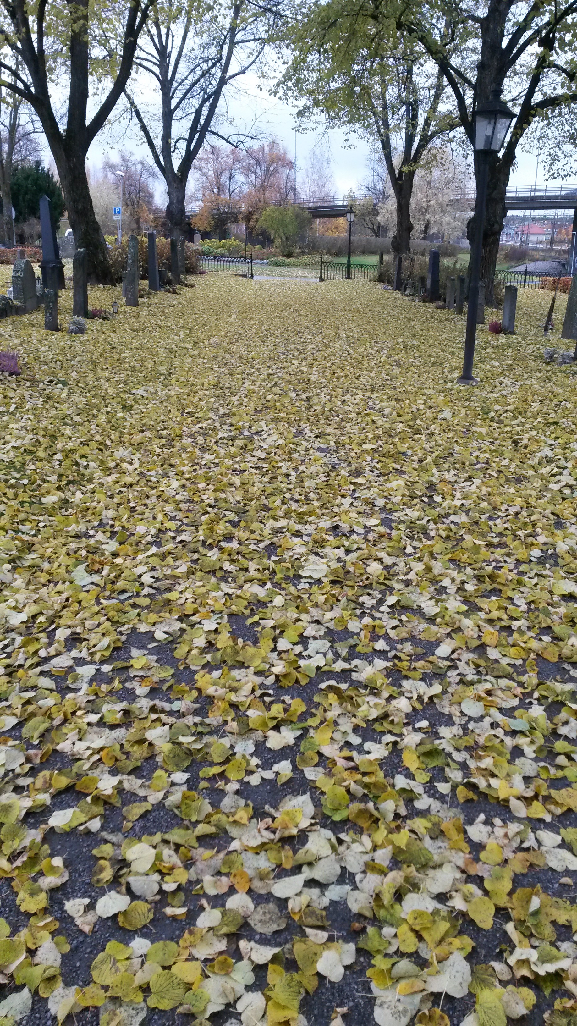 Höst på kyrkogården