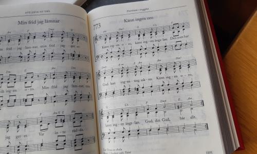 Vi firar våra gudstjänster som planerat och som du kan hitta i vårt senaste kyrkoblad, i predikoturen i tidningen, på affischer, här på hemsidan eller i appen kyrkguiden. En del av gudstjänsterna förändras något i sitt innehåll men tid och plats är samma. Vi kan ta emot 8 besökare till varje gudstjänst och du behöver inte anmäla dig. Välkommen!