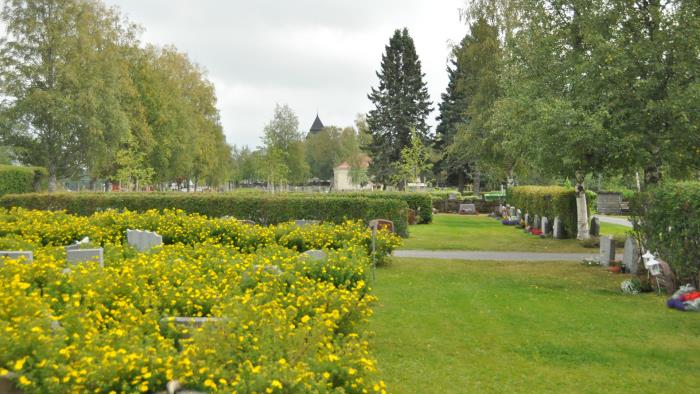 Kyrkogård med blommande buskar och kyrktorn i fjärran.