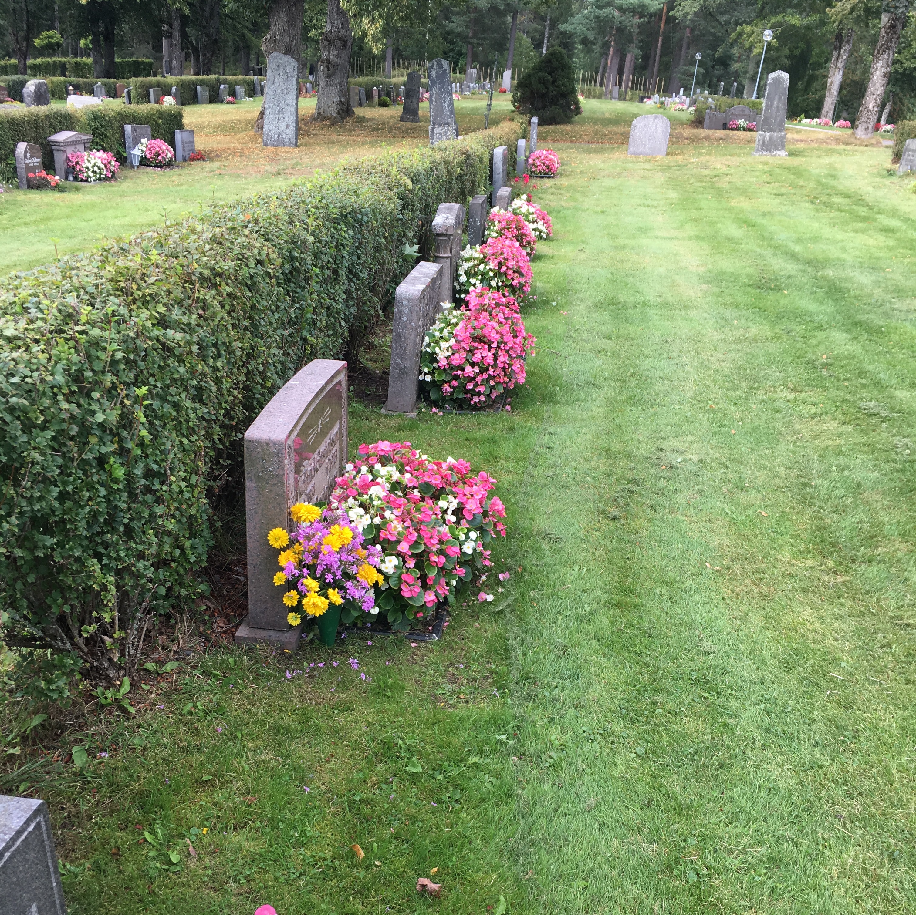 Bild på gravar med sommarplanteringar från Lerbäcks kyrkogård