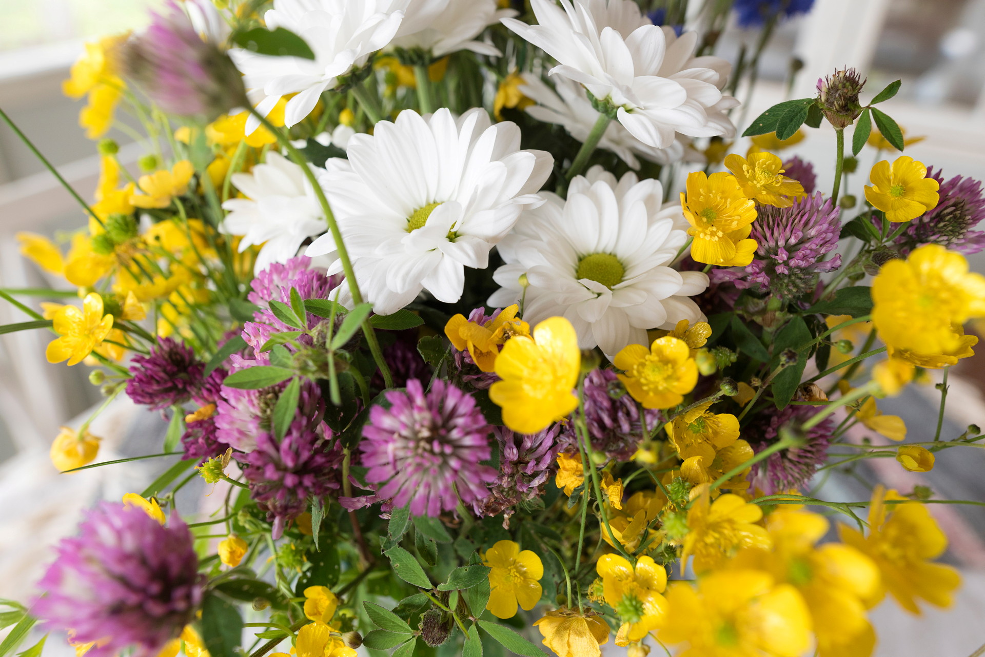 sommarblommor