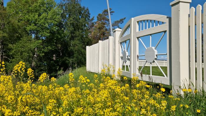 Ett vitt staket med en grind. I förgrunden gula blommor och i bakgrunden klarblå himmel.