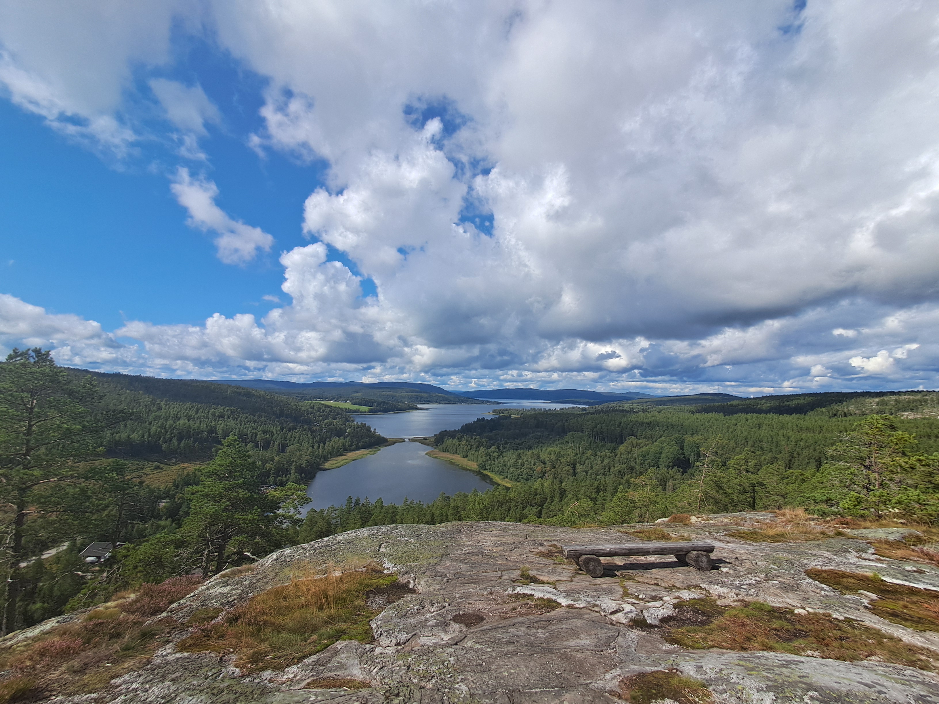 Vikbottensberget