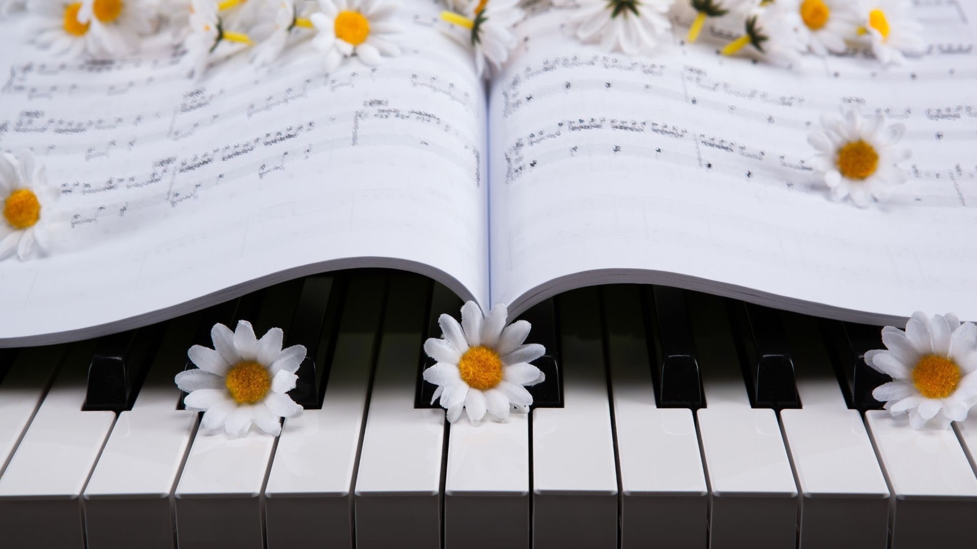 Tangentbord på piano med prästkrageblommor och nothäfte på tangenterna.