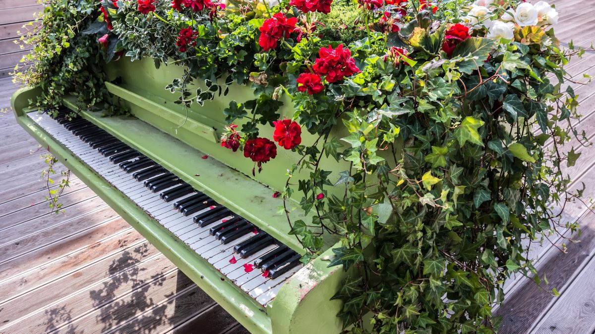 En grön flygen dekorerad med en massa röda blommor