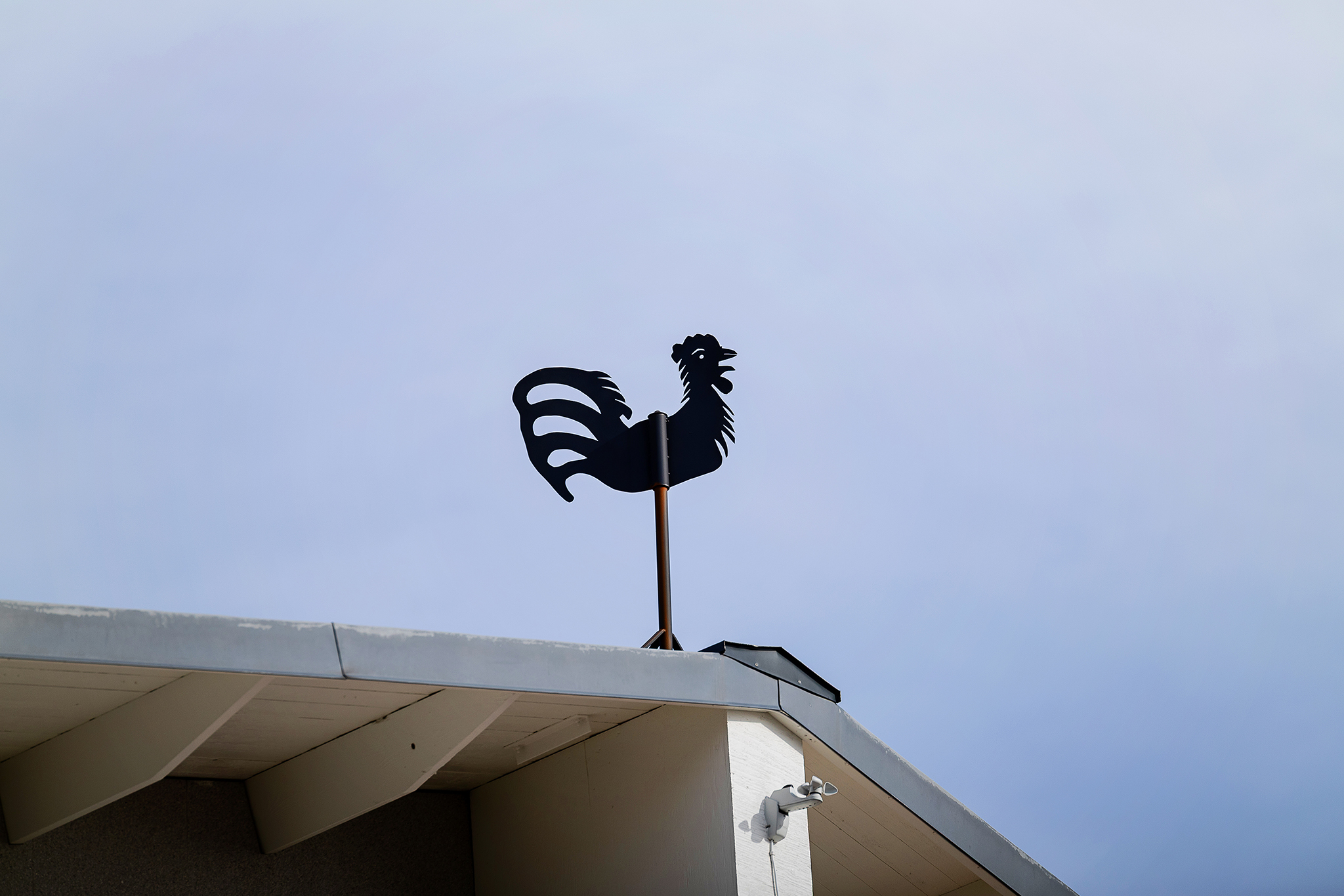 En kyrktupp i metall på ett tak och med blå himmel i bakgrunden.