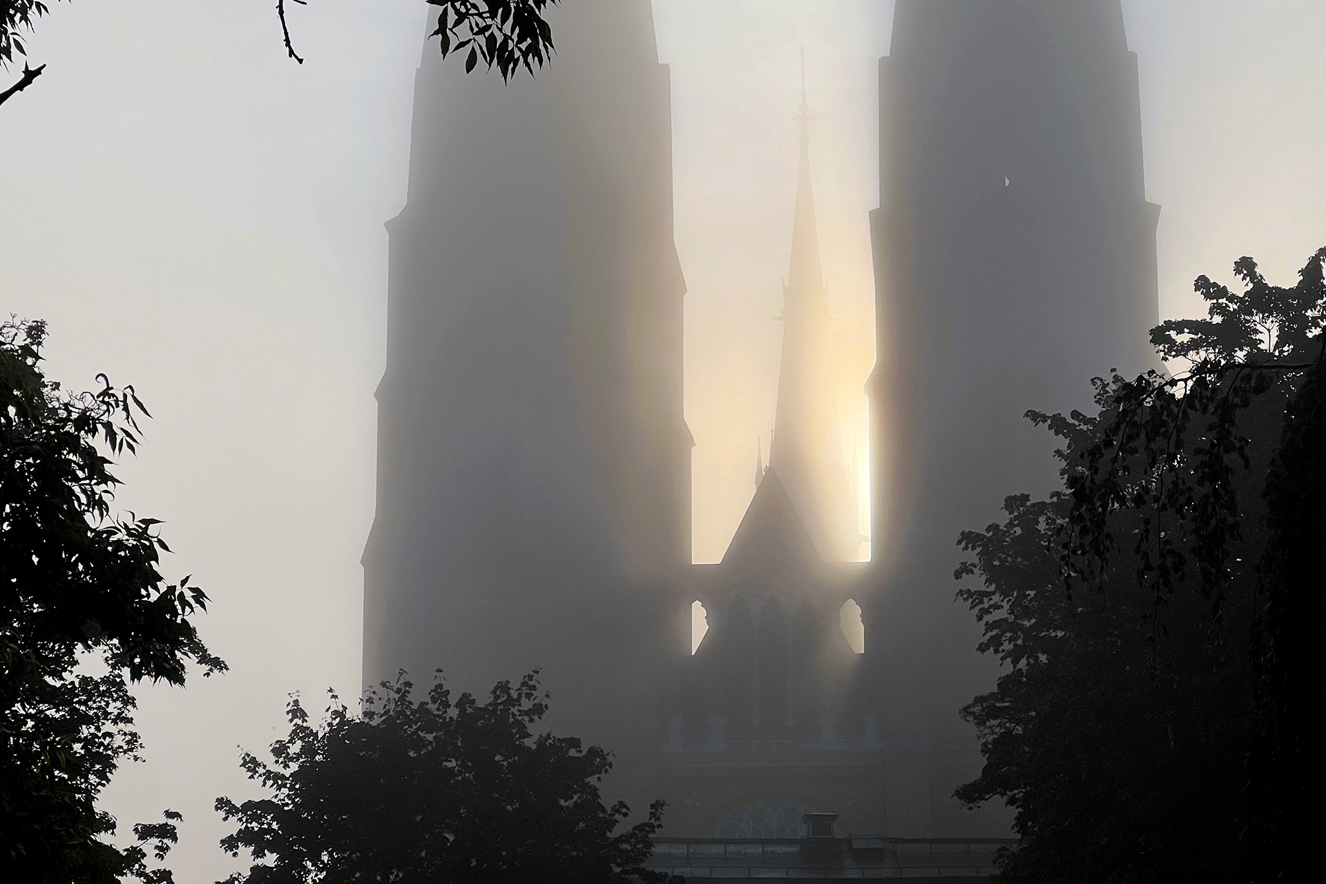 Uppsala domkyrkas två tron och takryttaren i bakgrunden syns som silhuetter i morgondimman, omgivna av trädgrenar och med en solstråle som skjuter fram mellan tornen.
