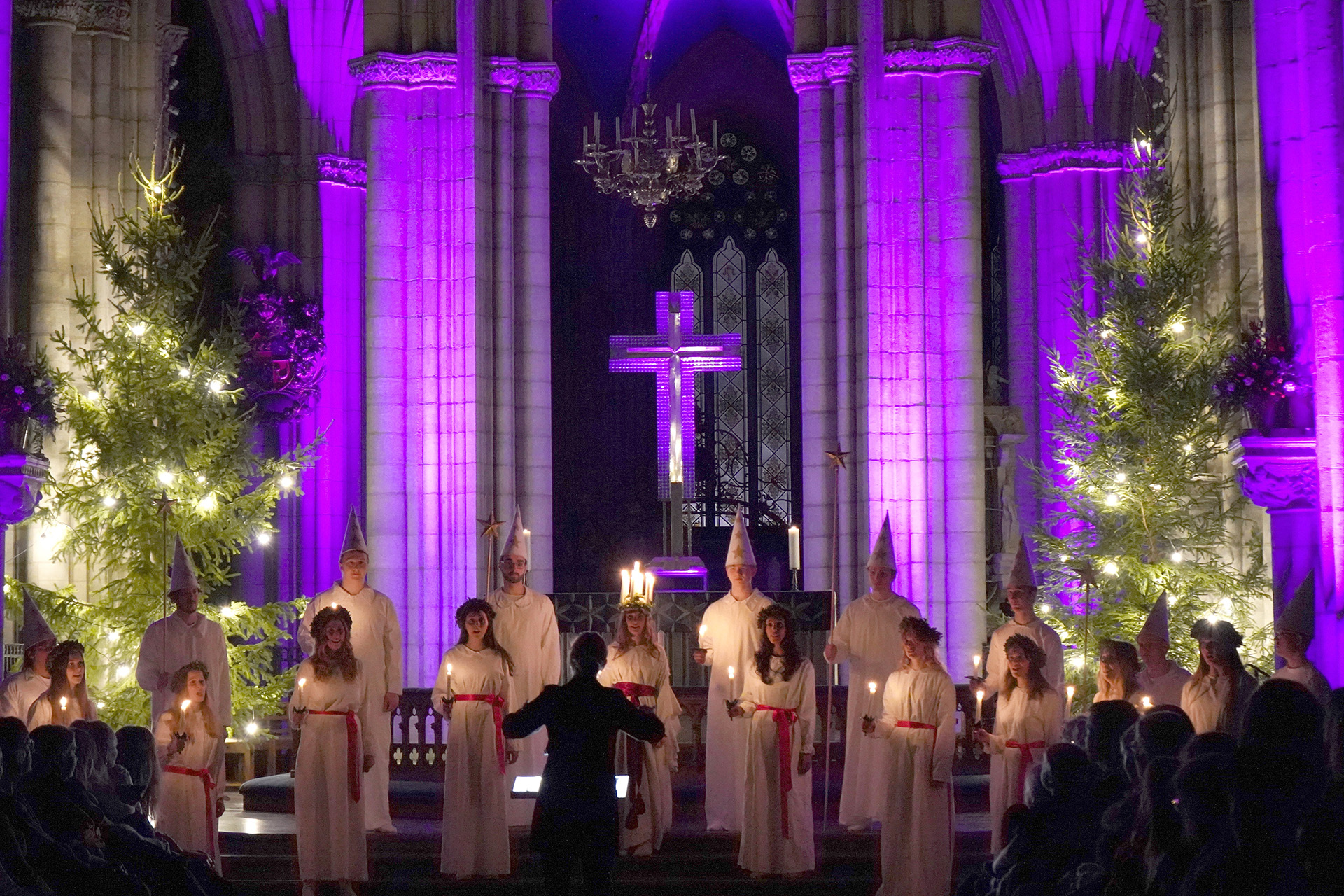 Young Cathedral i luciaklädsel sjunger i Uppsala domkyrkas högkor, inramade av julgranar och det violett upplysta kristallkorset över altaret.