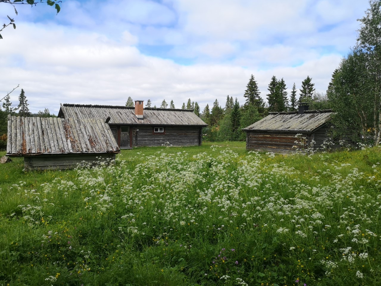 Gamla timrade hus och en grön äng