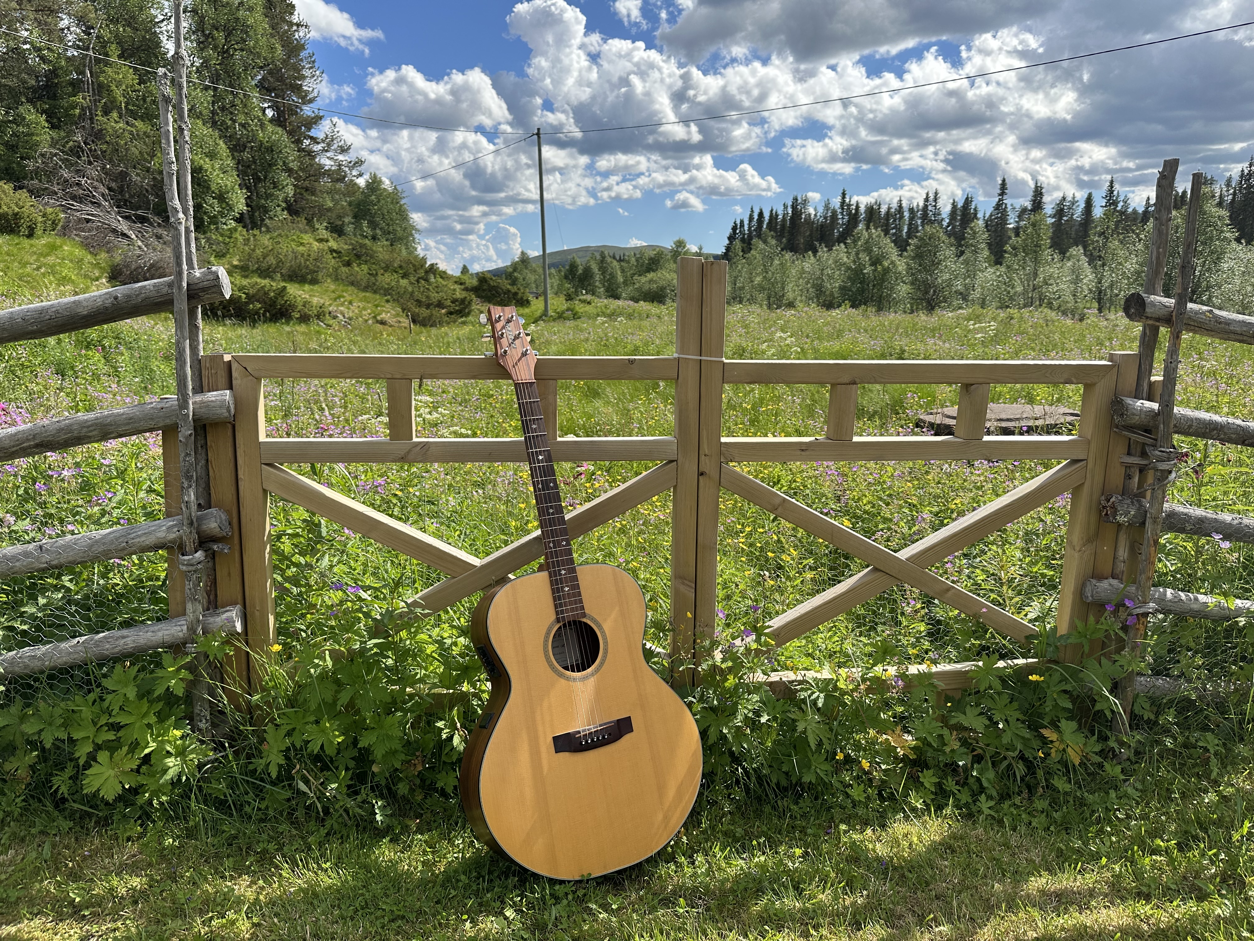 Gitarr på sommaräng