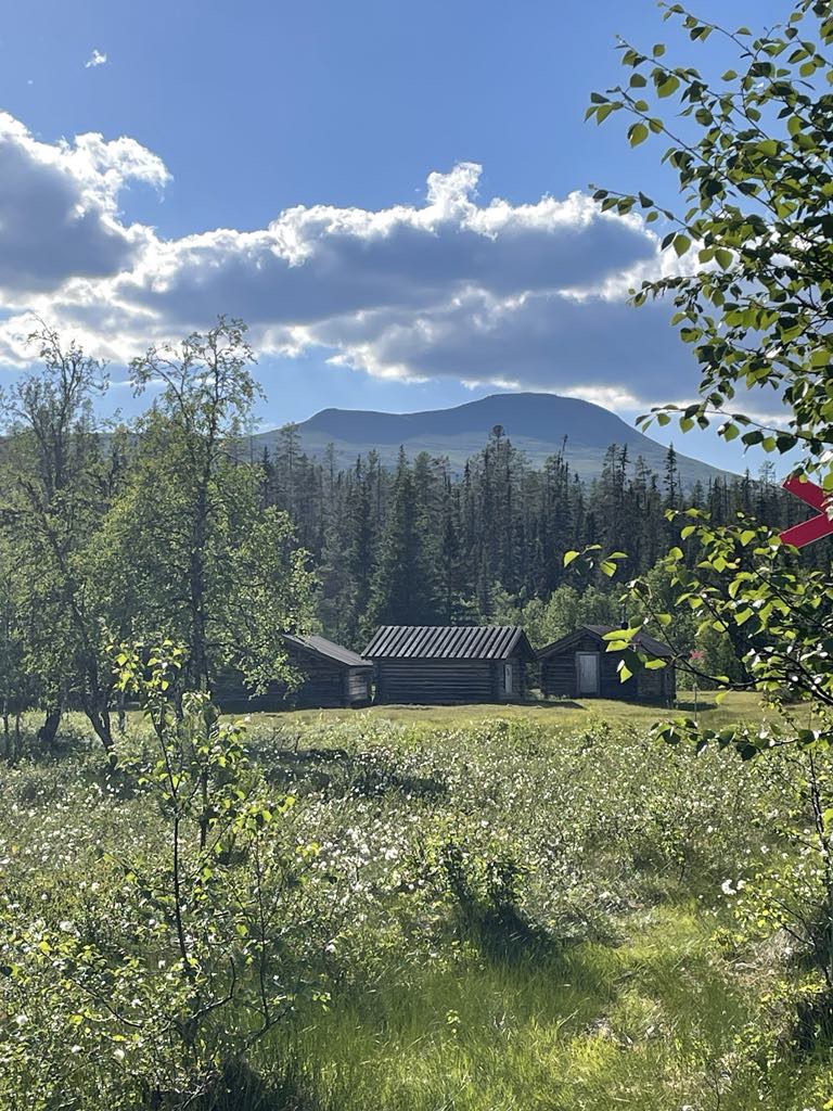 Fjällvy från fäbod. Sommar