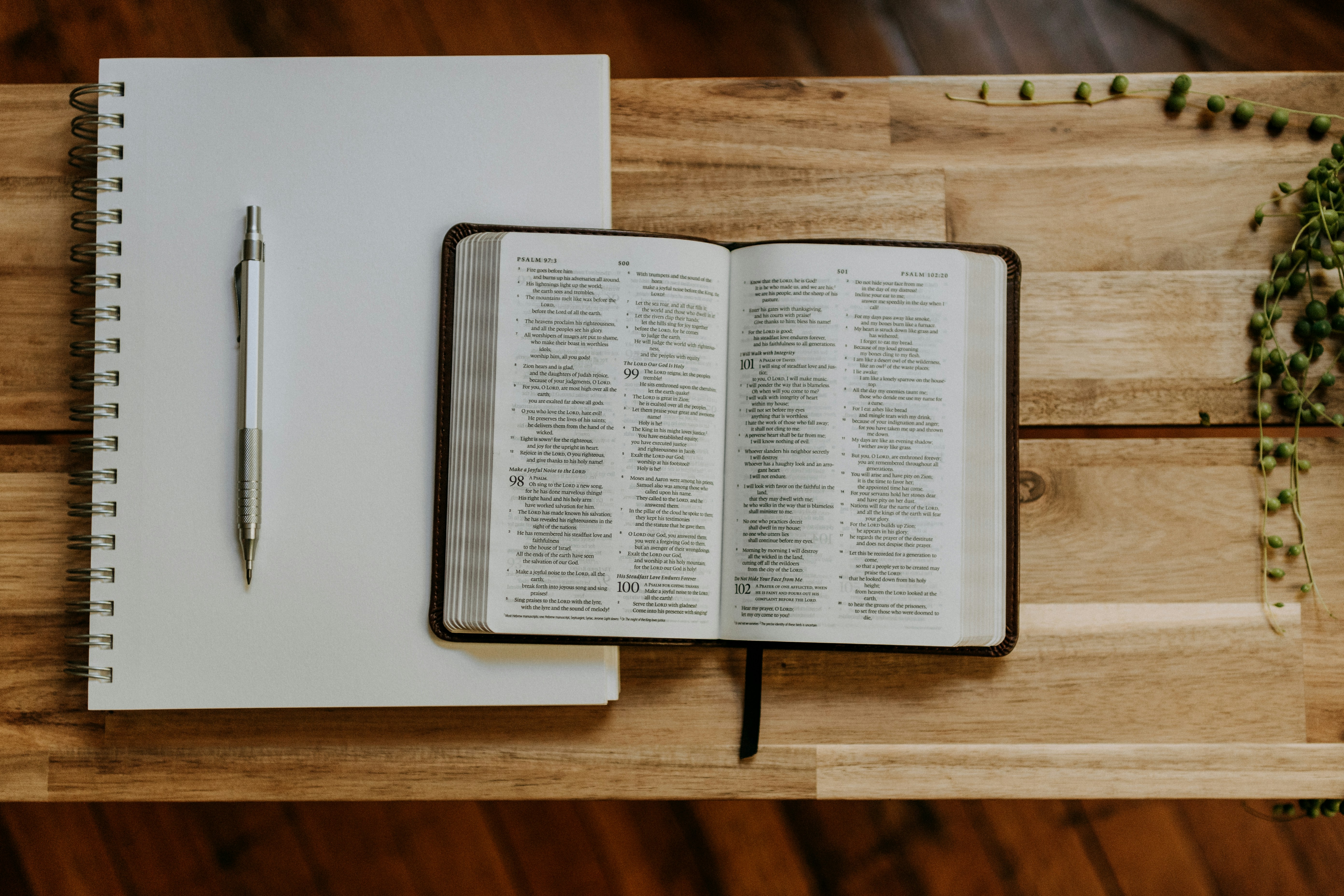 bibel