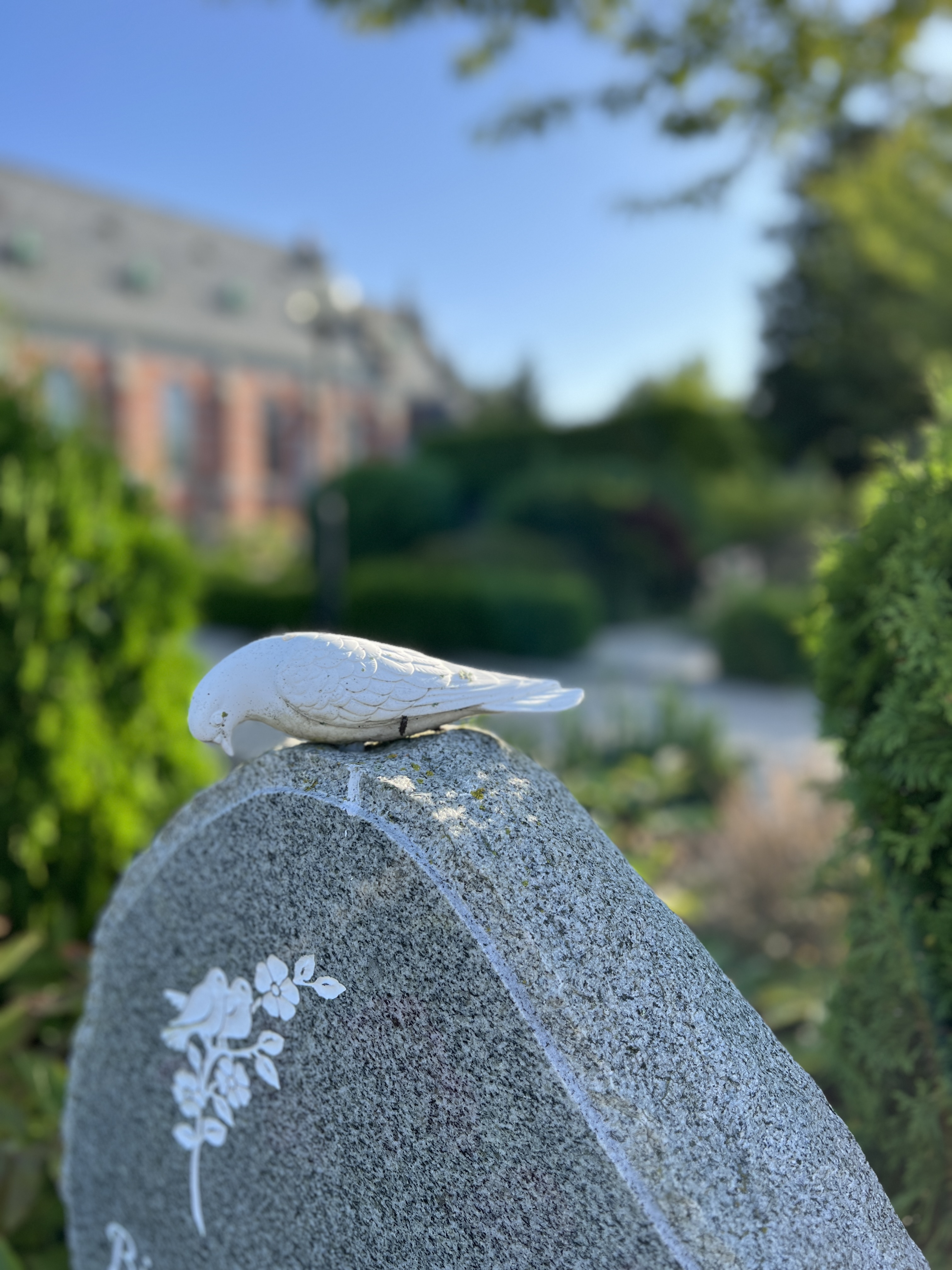 Detalj från Stora Hammars kyrkogård. En stenduva sitter på en gravsten.