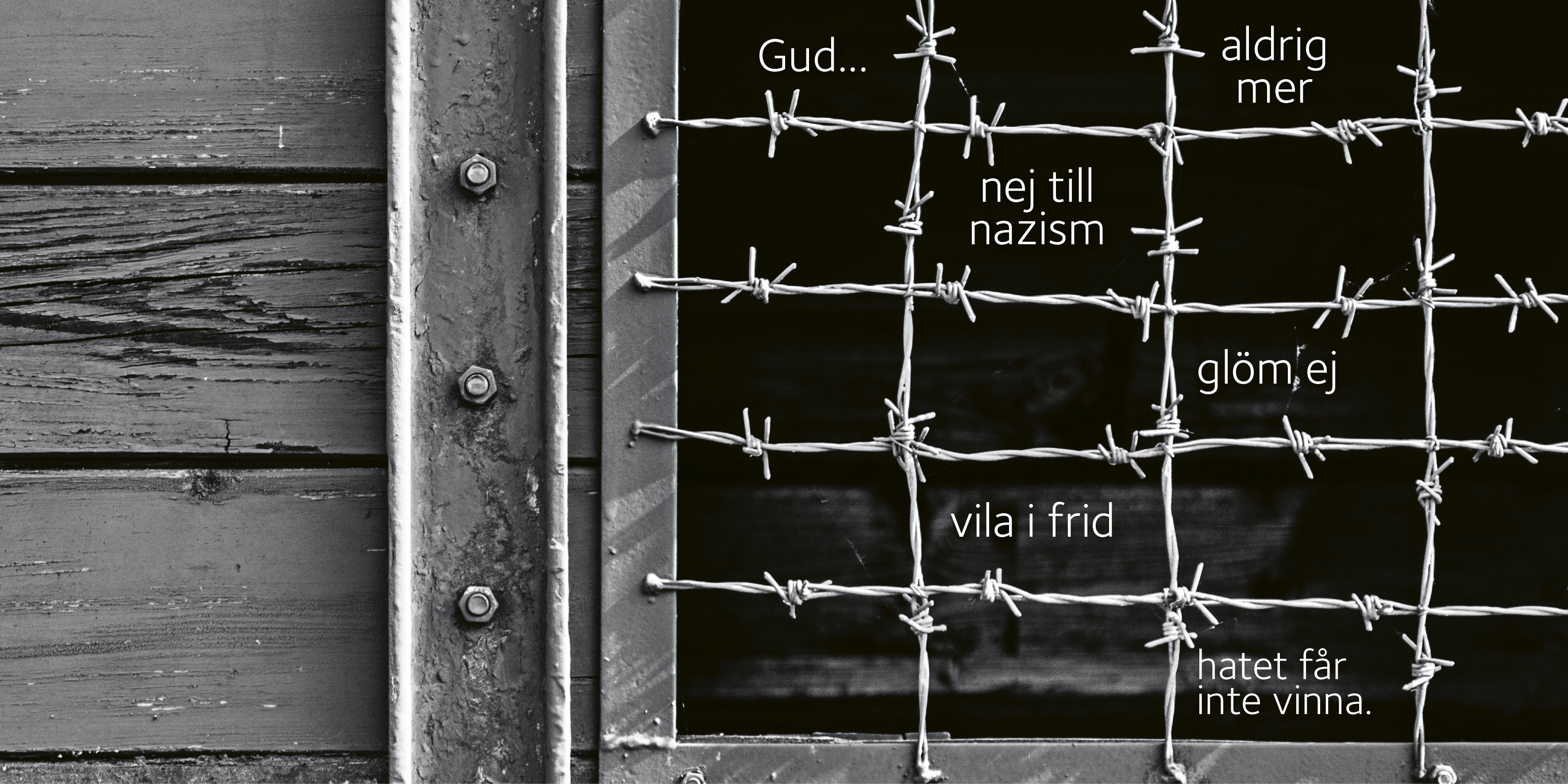 Detaljbild på tågvagn med taggtråd och ord kring förintelsen. 