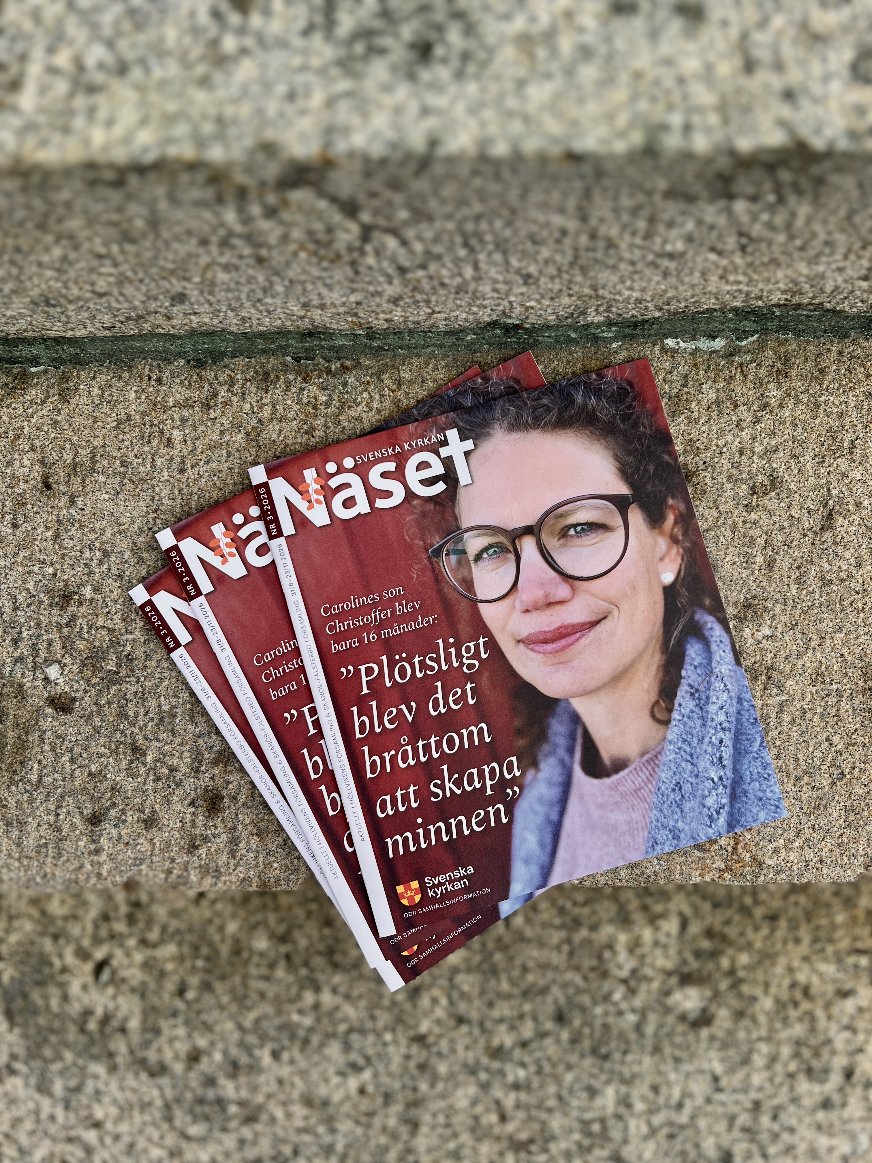 Höstens nummer av tidningen Näset i miljö.