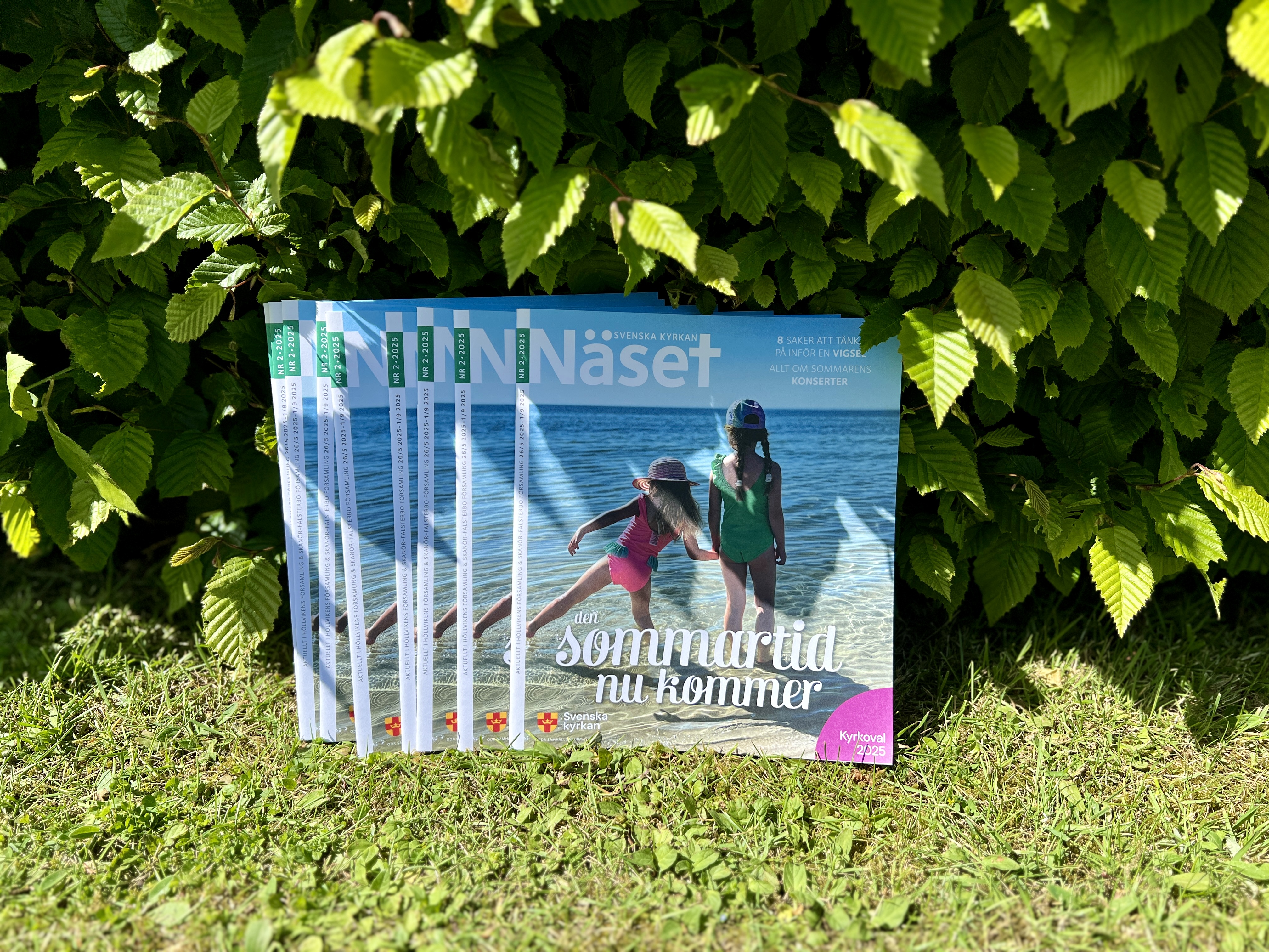 Sommarens nummer av tidningen Näset ståendes på gräsmattan.