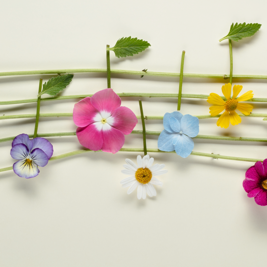 Blommor som ligger som musiknoter