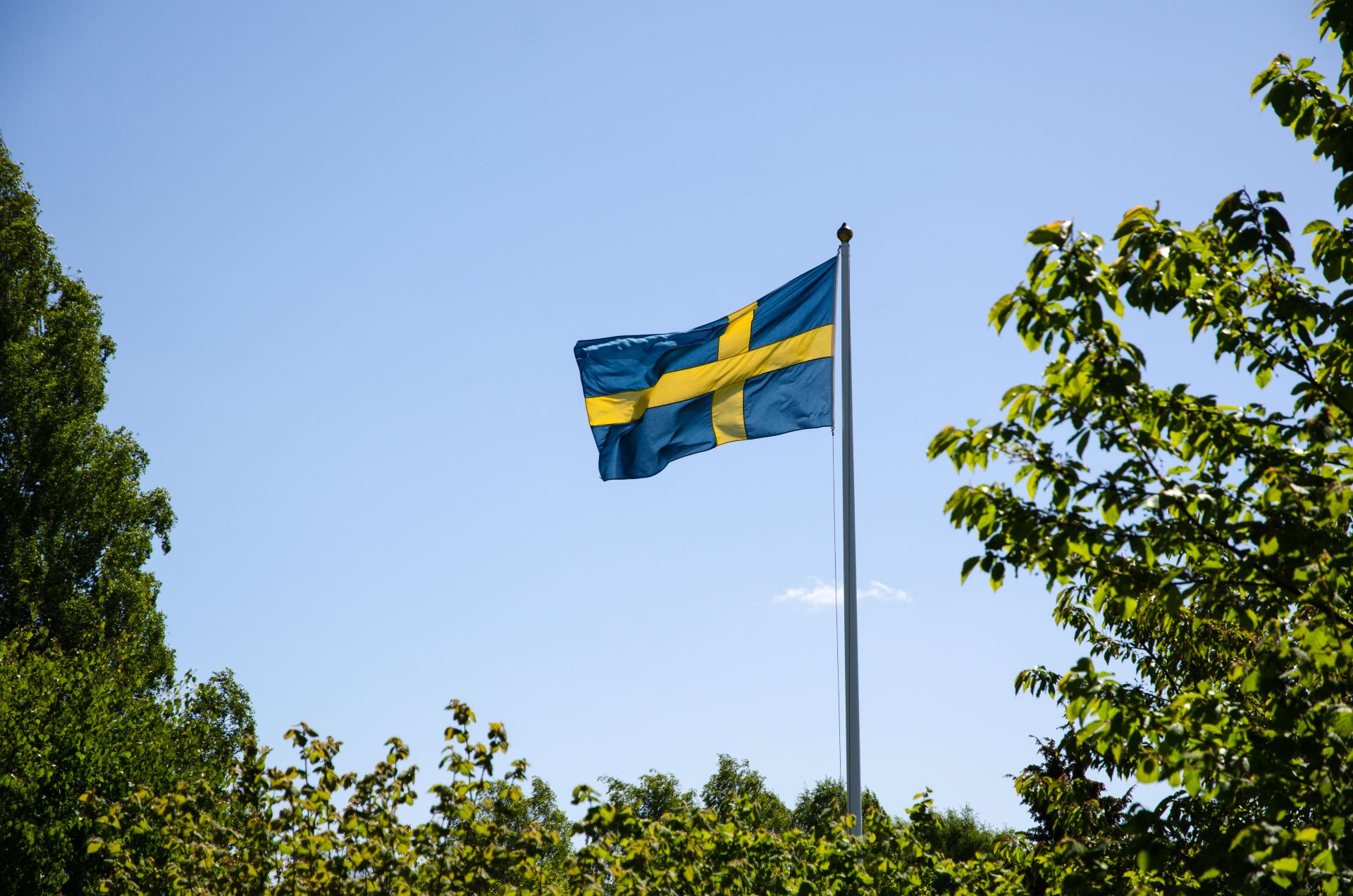 Svenska flaggan på en flaggstång i svensk naturmiljö