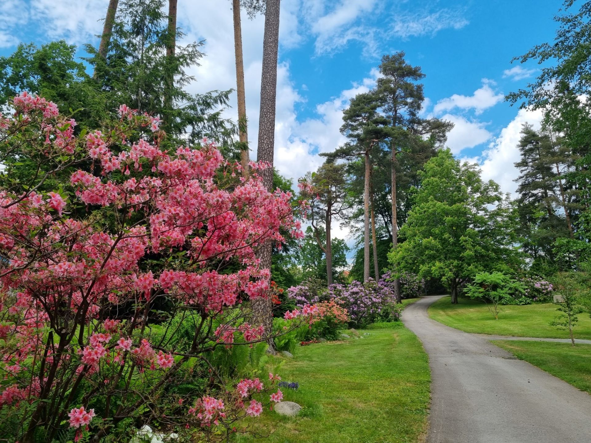 Naturbild 1 kyrkogården