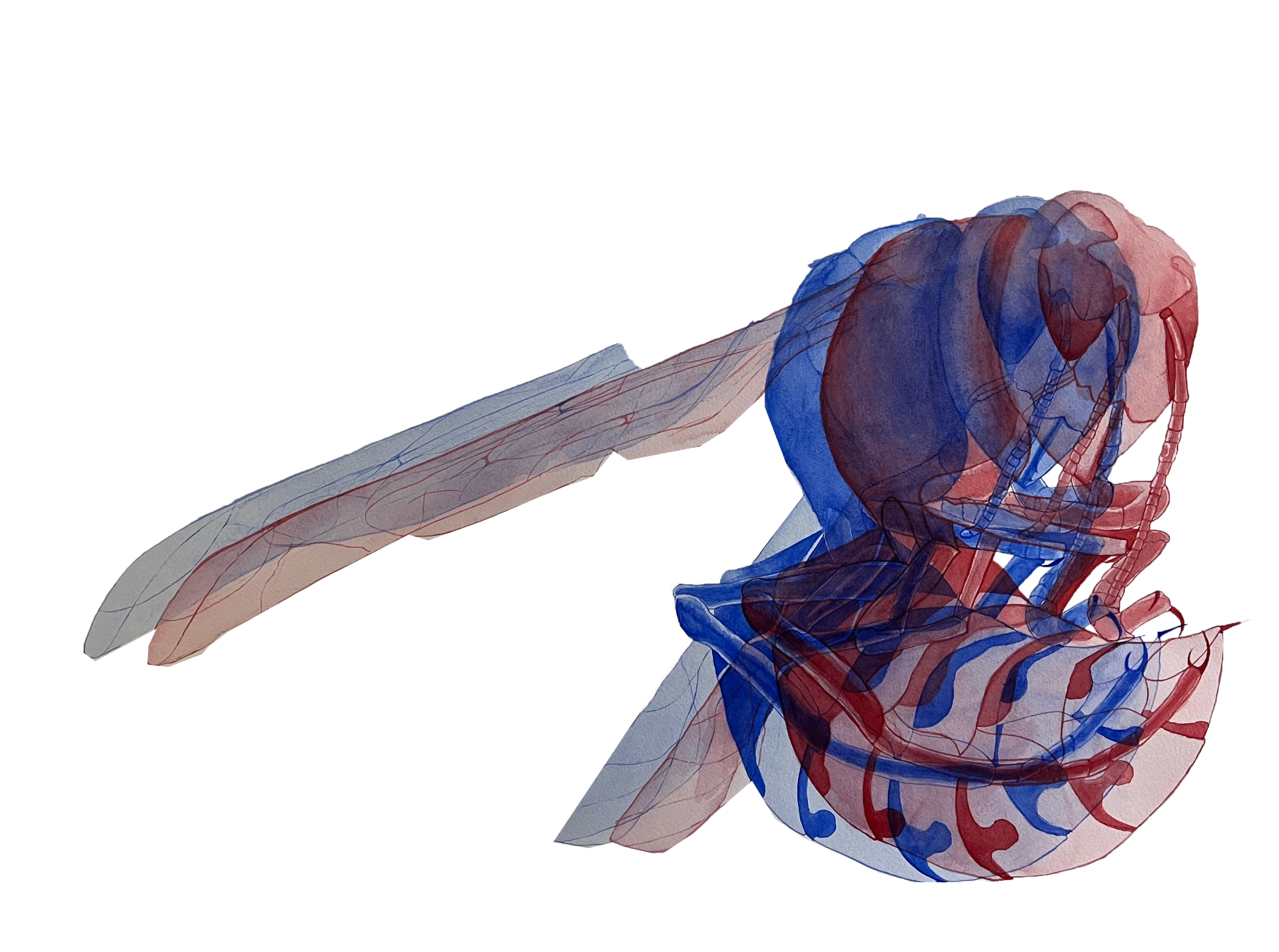 Konstverk från Karlskoga folhögskola