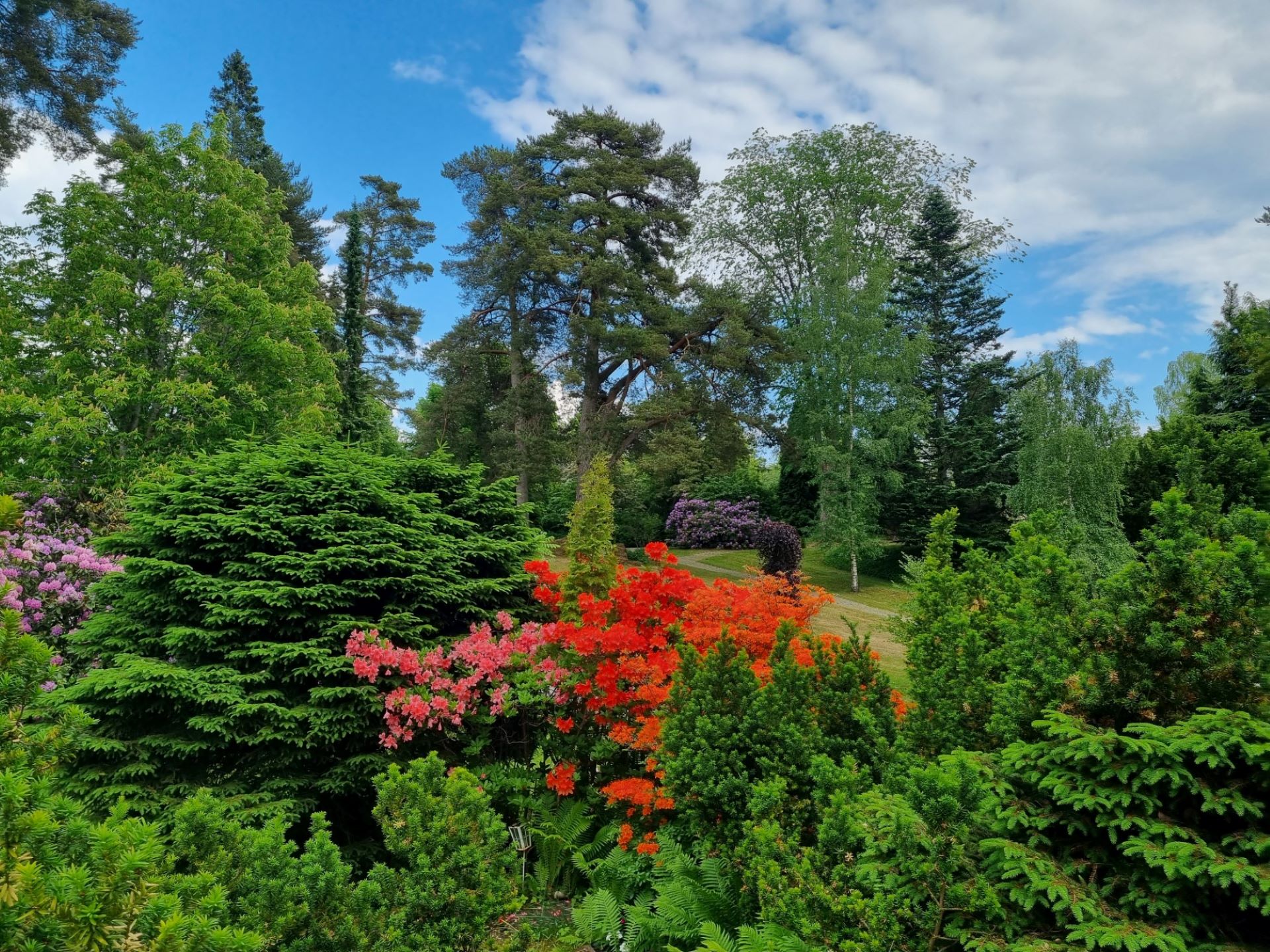 Naturbild på kyrkogården