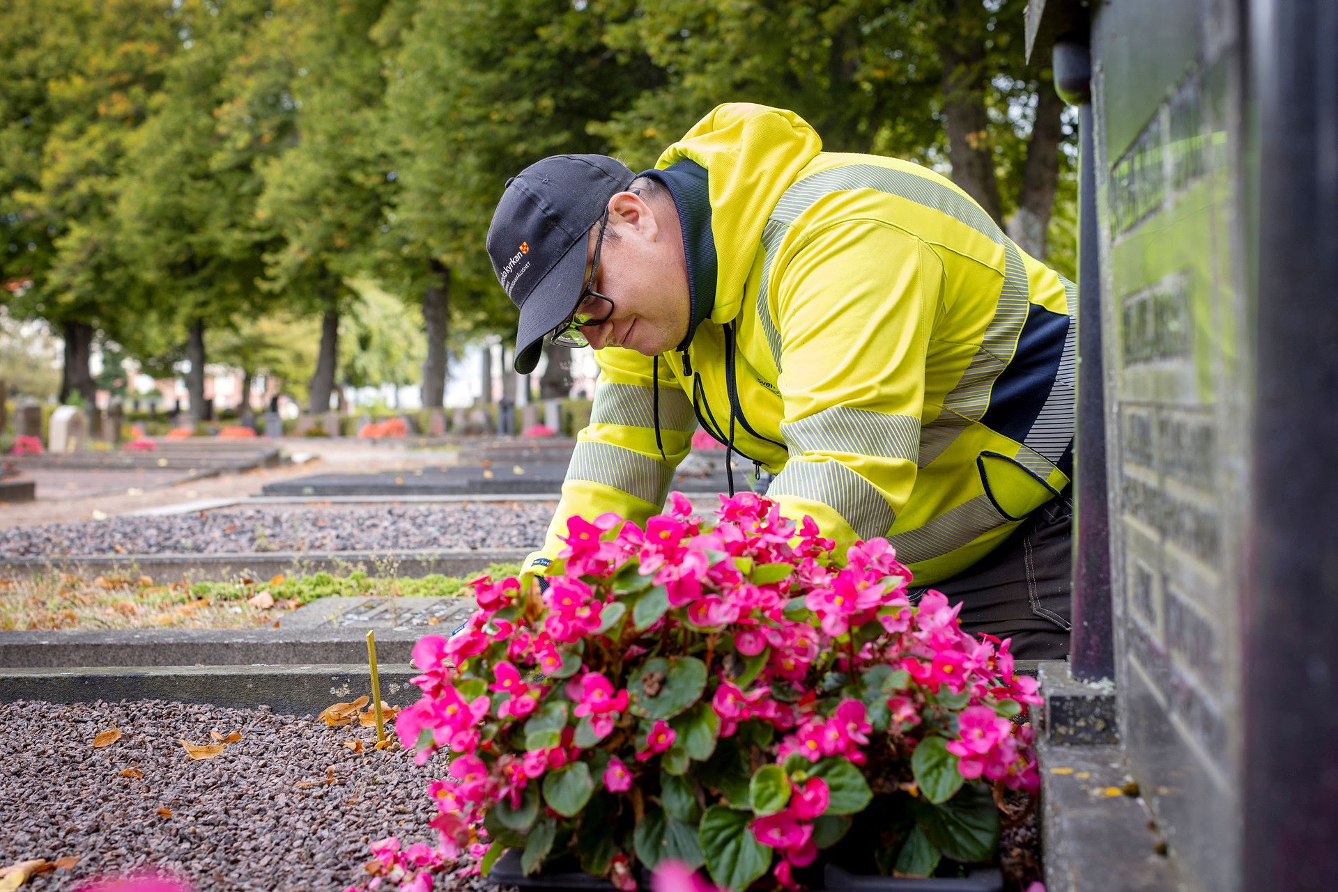 Ungdomar jobbar på kyrkogården vid Östra kyrkogården i Göteborg. 