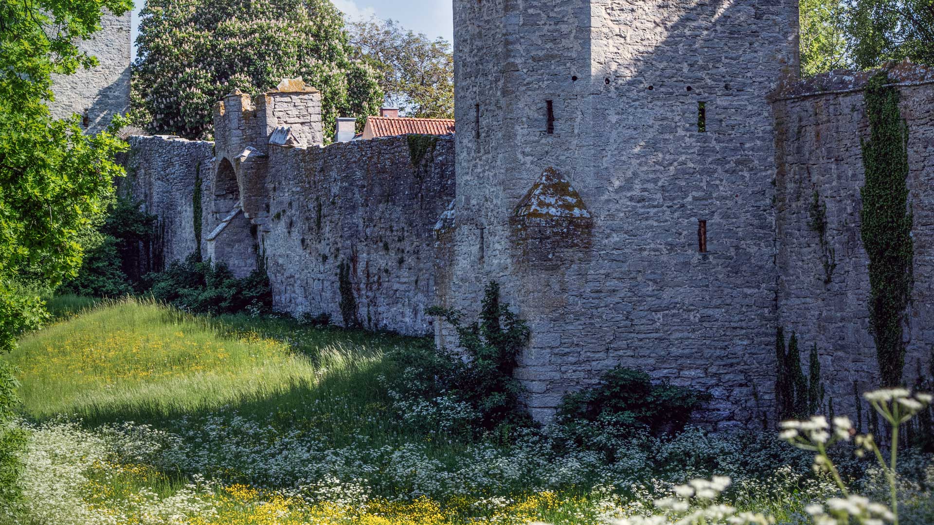 Visbys ringmur en solig vårdag.
