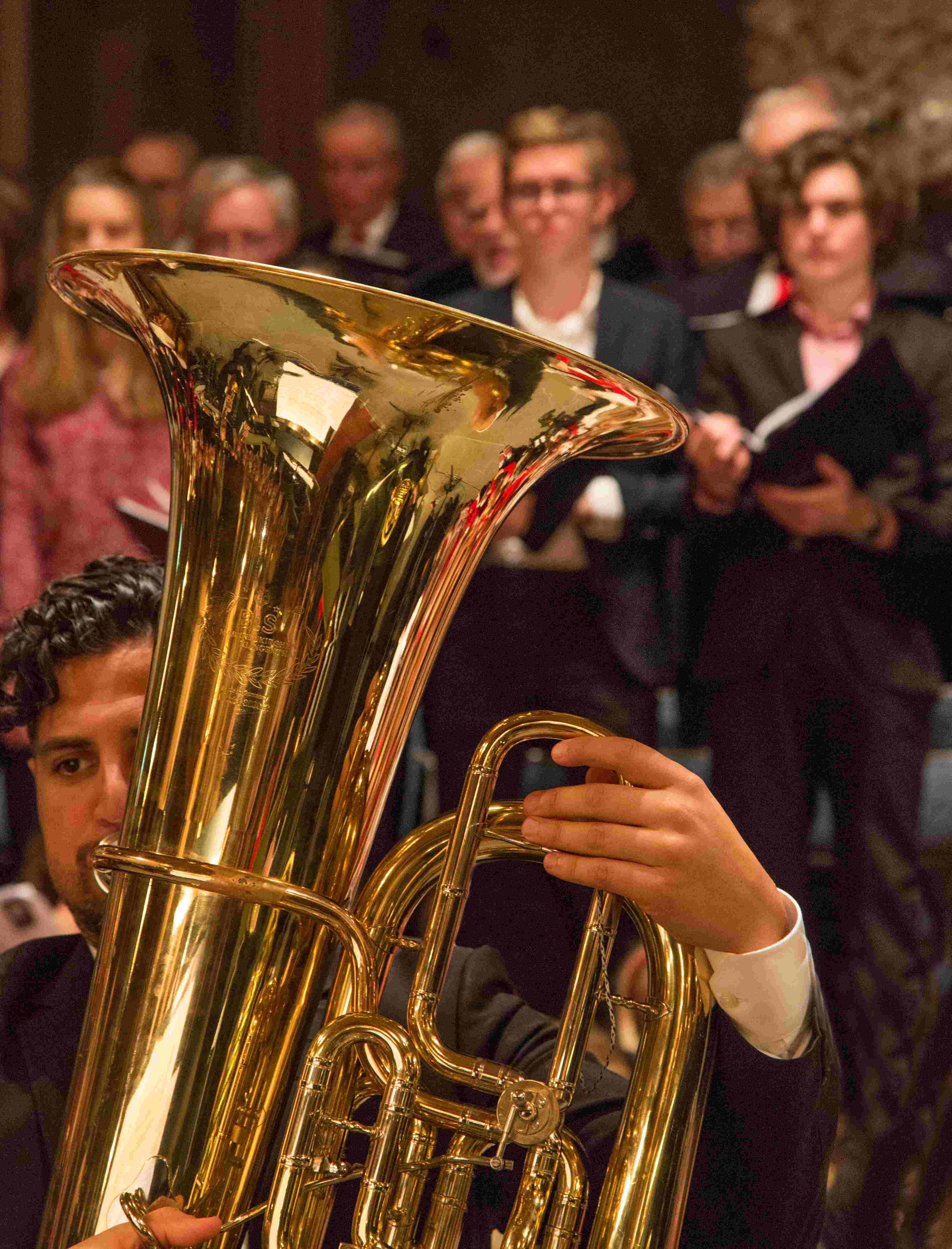 brassinstrument advent