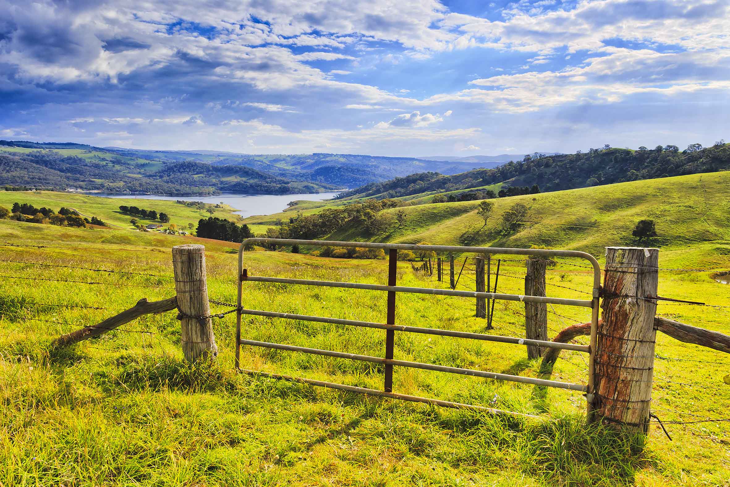 sommarvy över gröna kullar och vatten