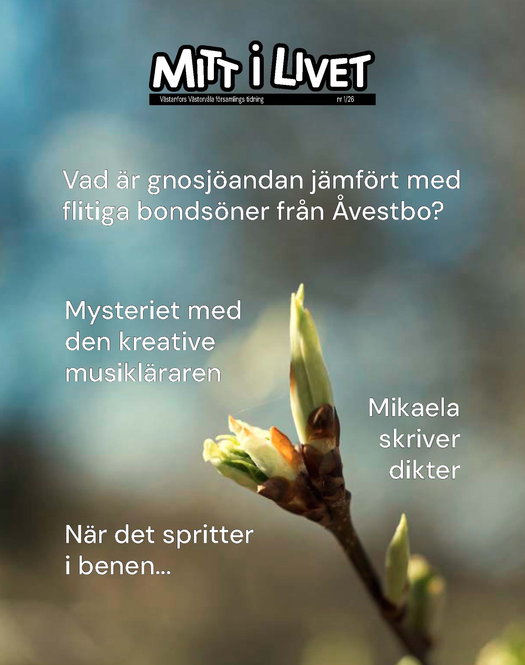 Omslagsbild med trädknopp och text